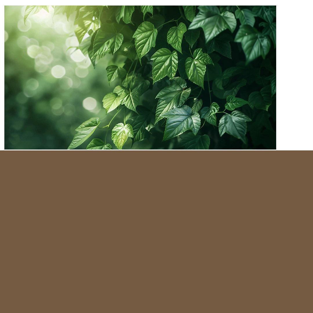 9 Wall Paintings 3D Model