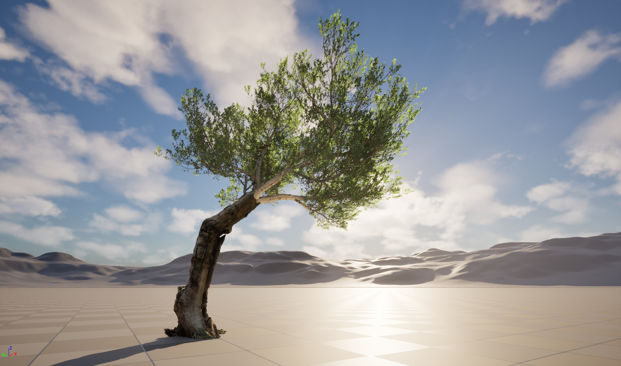 Scanned Olea Europaea Common Olive 17 HighPoly LowPoly 3D Model