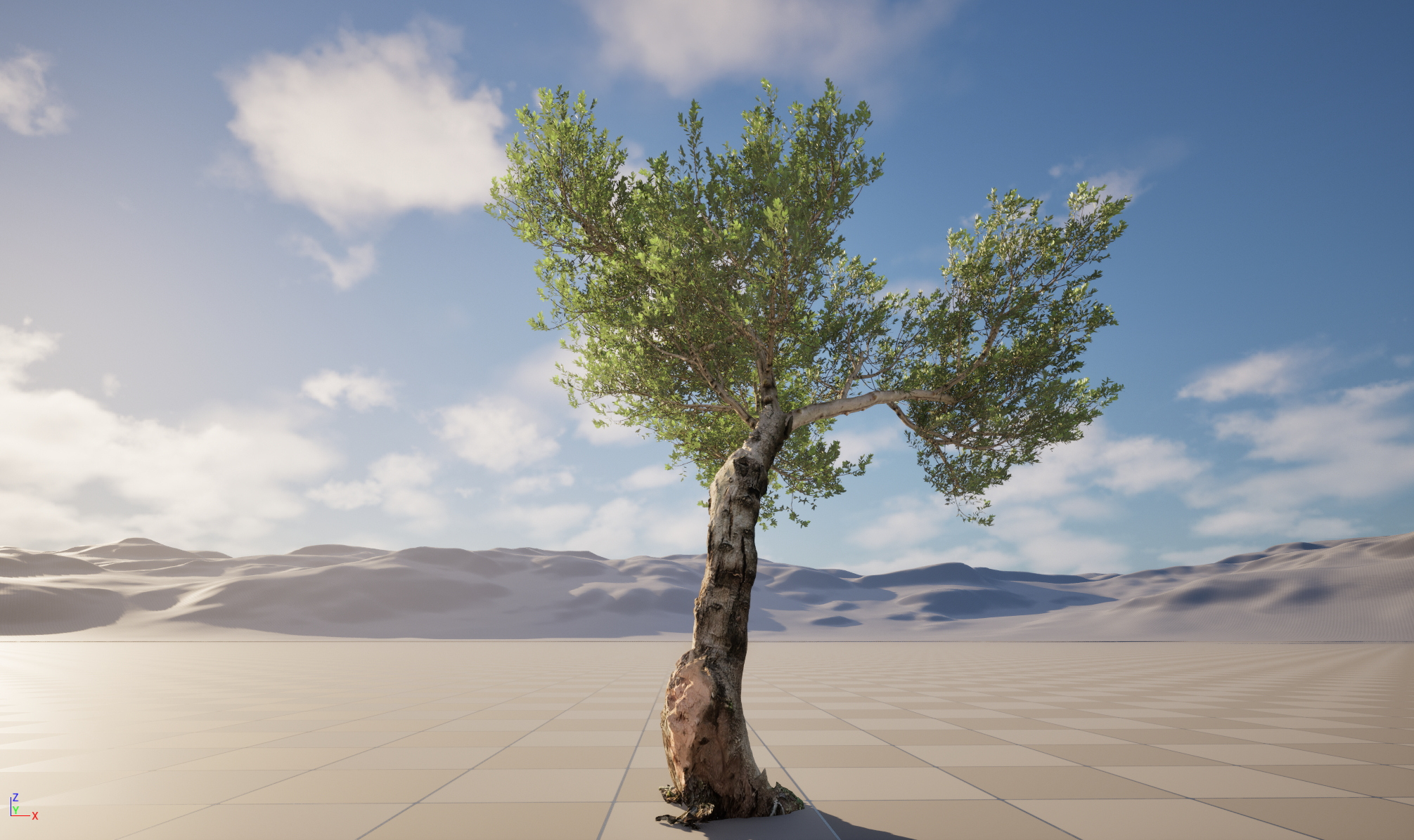 Scanned Olea Europaea Common Olive 17 HighPoly LowPoly 3D Model