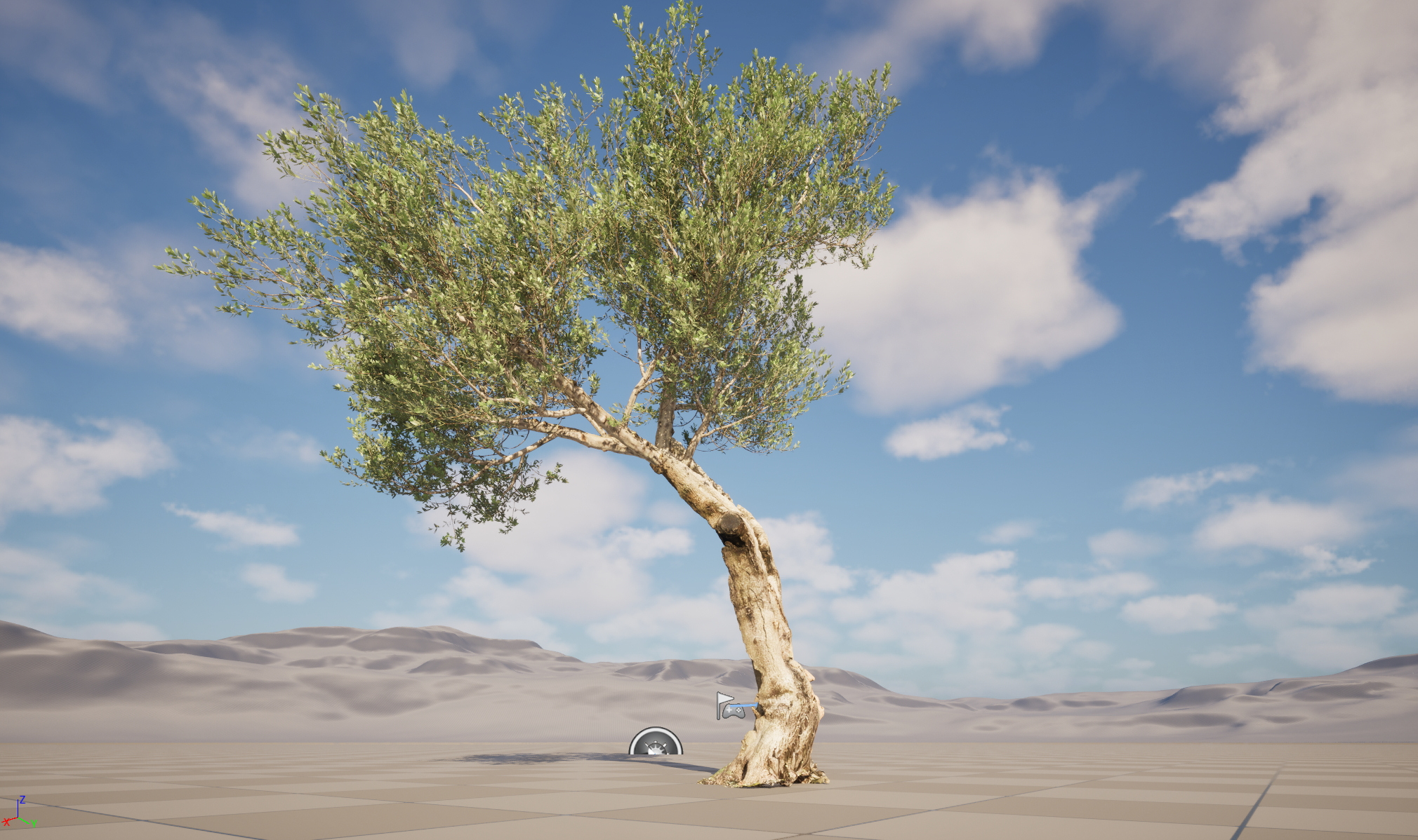 Scanned Olea Europaea Common Olive 17 HighPoly LowPoly 3D Model