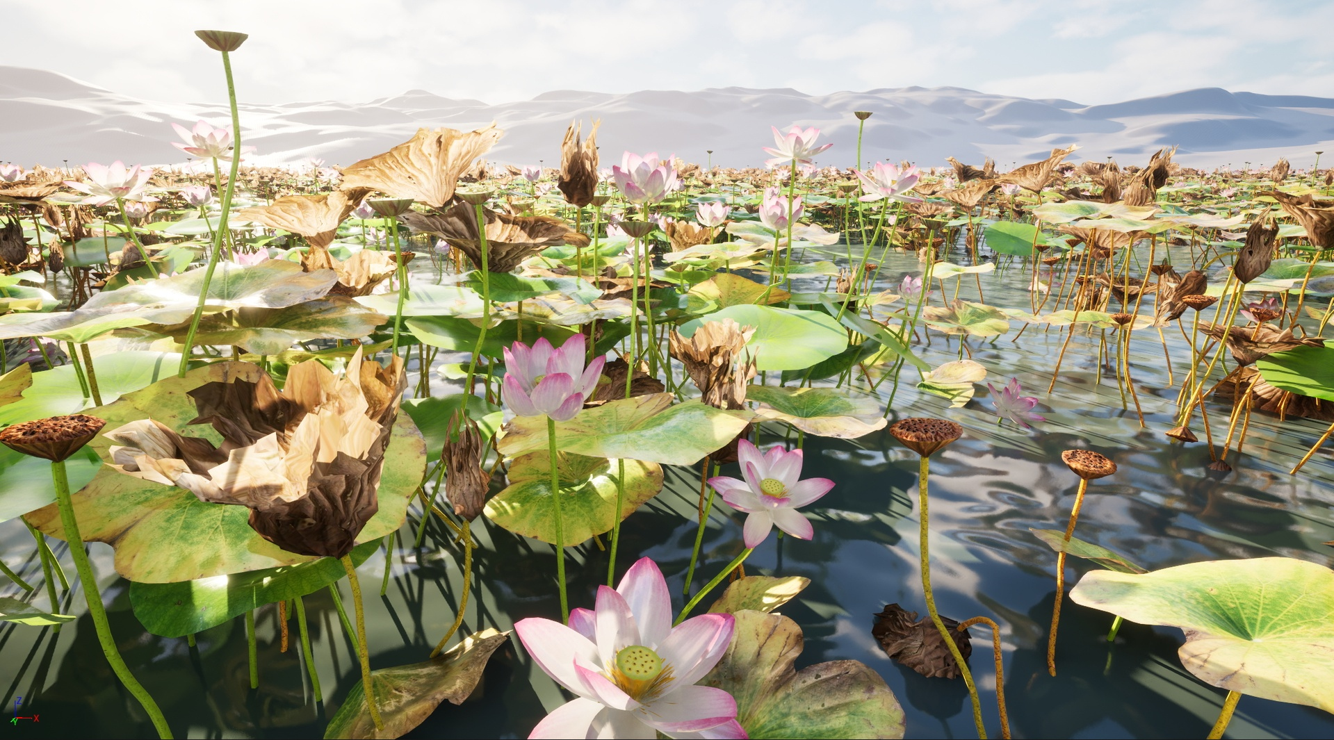 HighpolyLow Poly Nelumbo - Sacred Lotus 03 3D Model