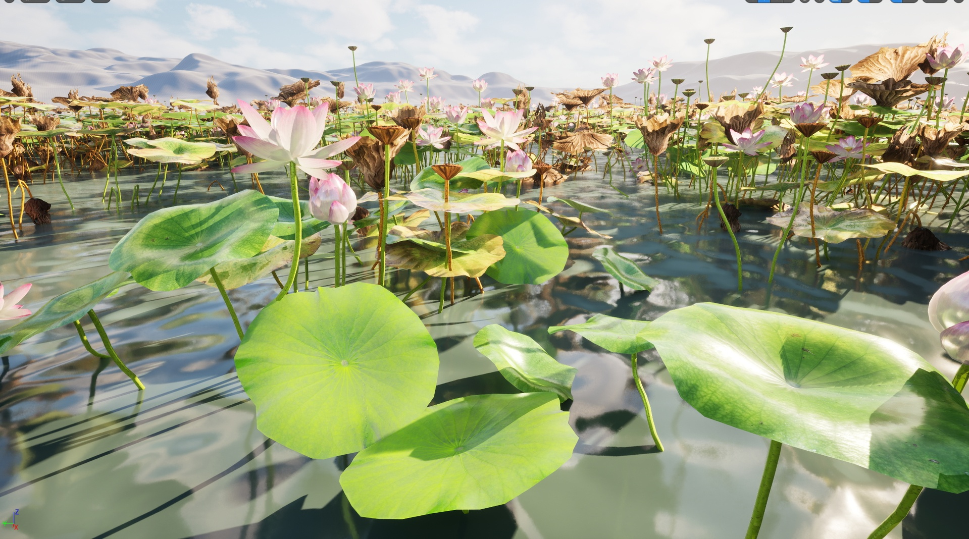 HighpolyLow Poly Nelumbo - Sacred Lotus 03 3D Model