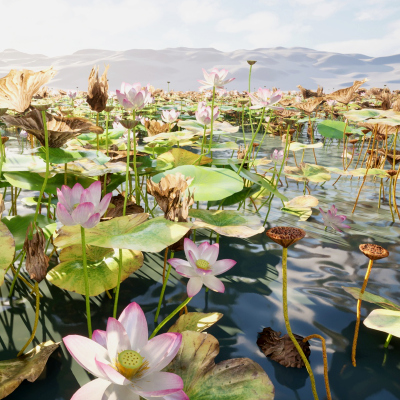 (Highpoly+Low Poly) Nelumbo - Sacred Lotus 03