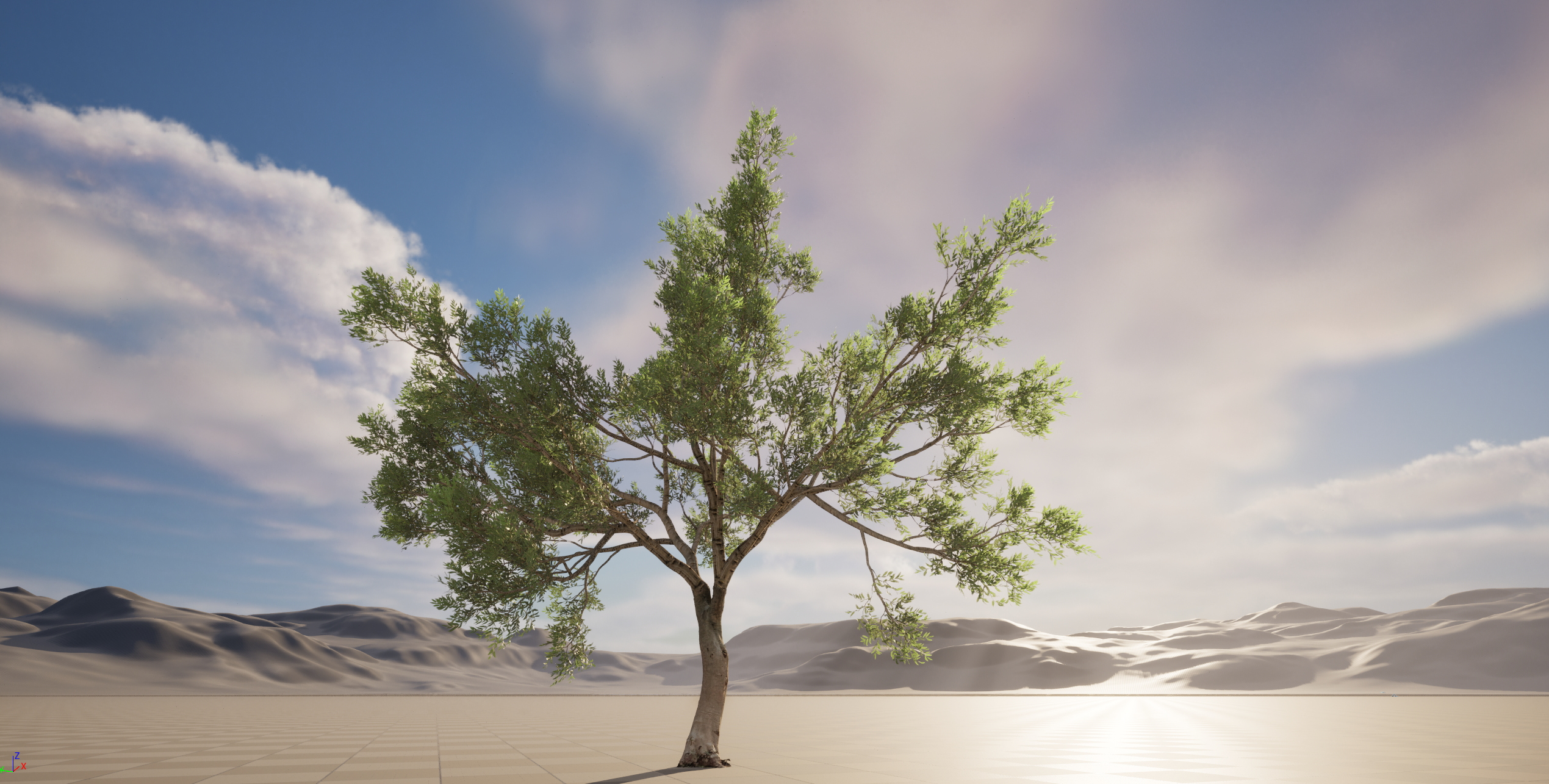 Scanned Olea Europaea Common Olive 09 Highpoly Lowpoly 3D Model