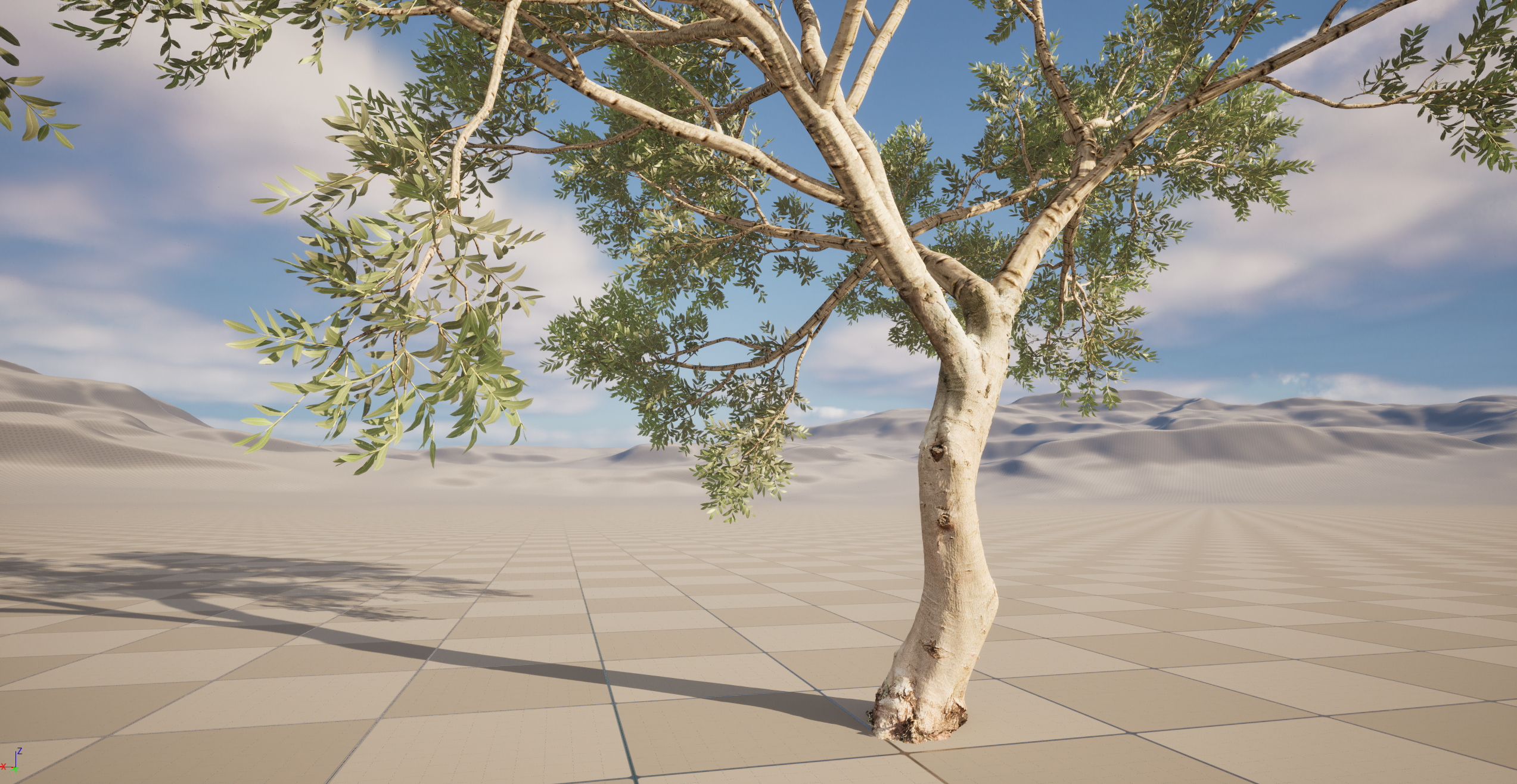 Scanned Olea Europaea Common Olive 09 Highpoly Lowpoly 3D Model