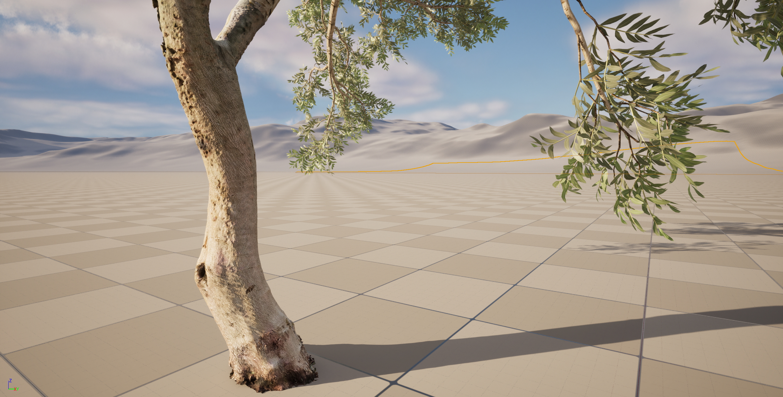 Scanned Olea Europaea Common Olive 09 Highpoly Lowpoly 3D Model