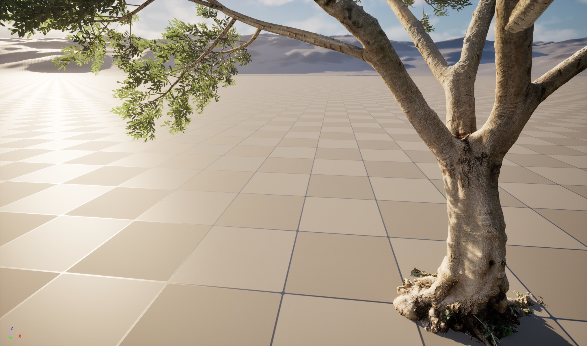 Scanned Olea Europaea Common Olive 10 Highpoly Lowpoly 3D Model