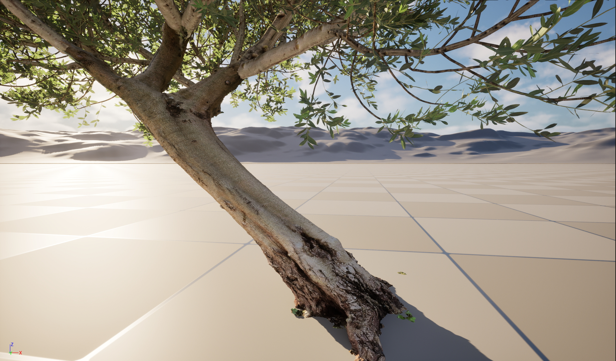 Scanned Olea Europaea Common Olive 12 Highpoly Lowpoly 3D Model