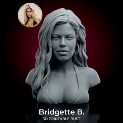 Adult Star Bridgette B bust