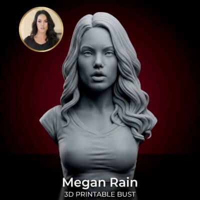 Adult Star Megan Rain Bust