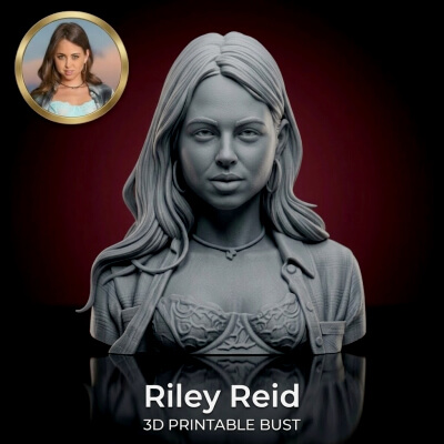 Adult Star Riley Reid Bust
