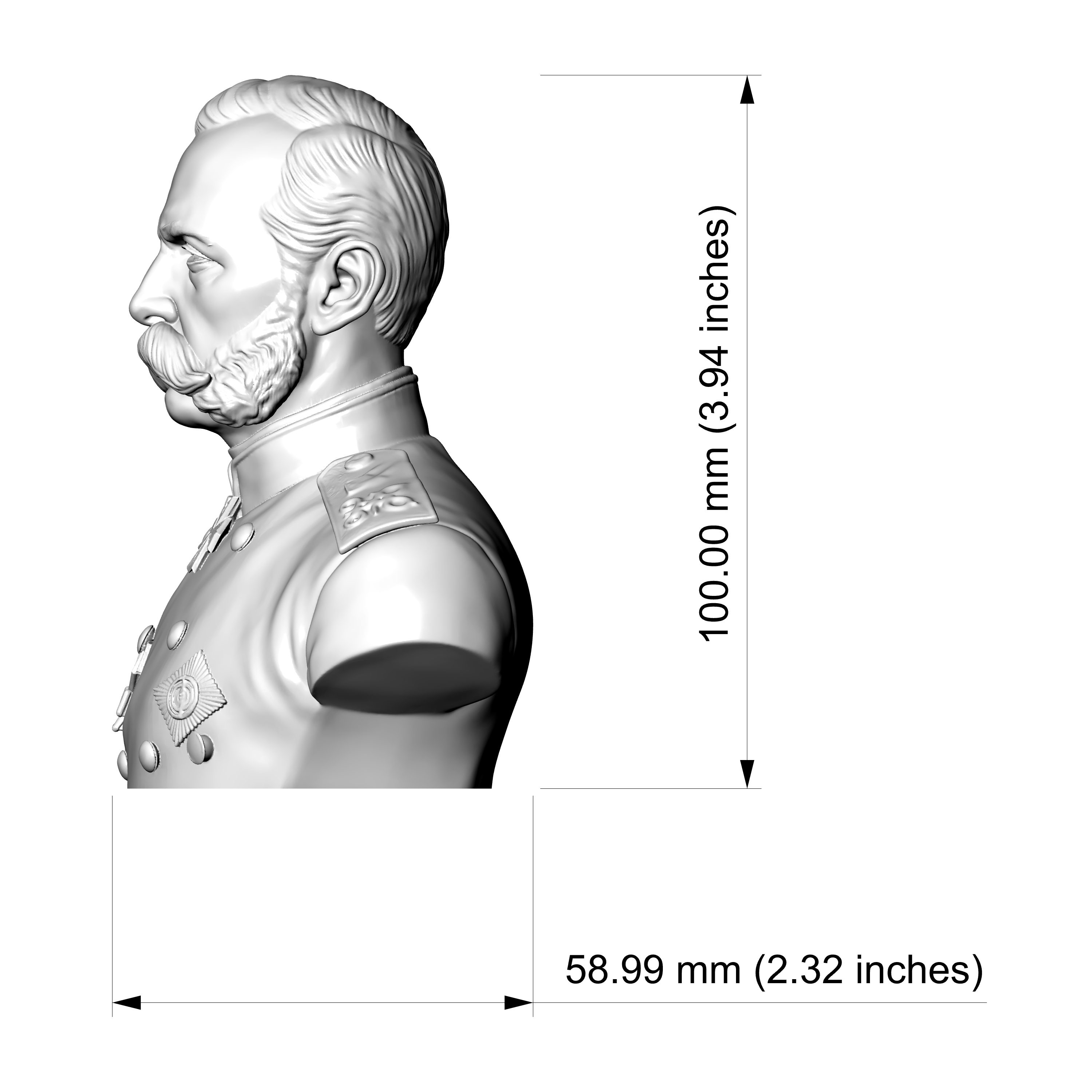Alexander II Russian Emperor 3d Printable Bust 3D Model