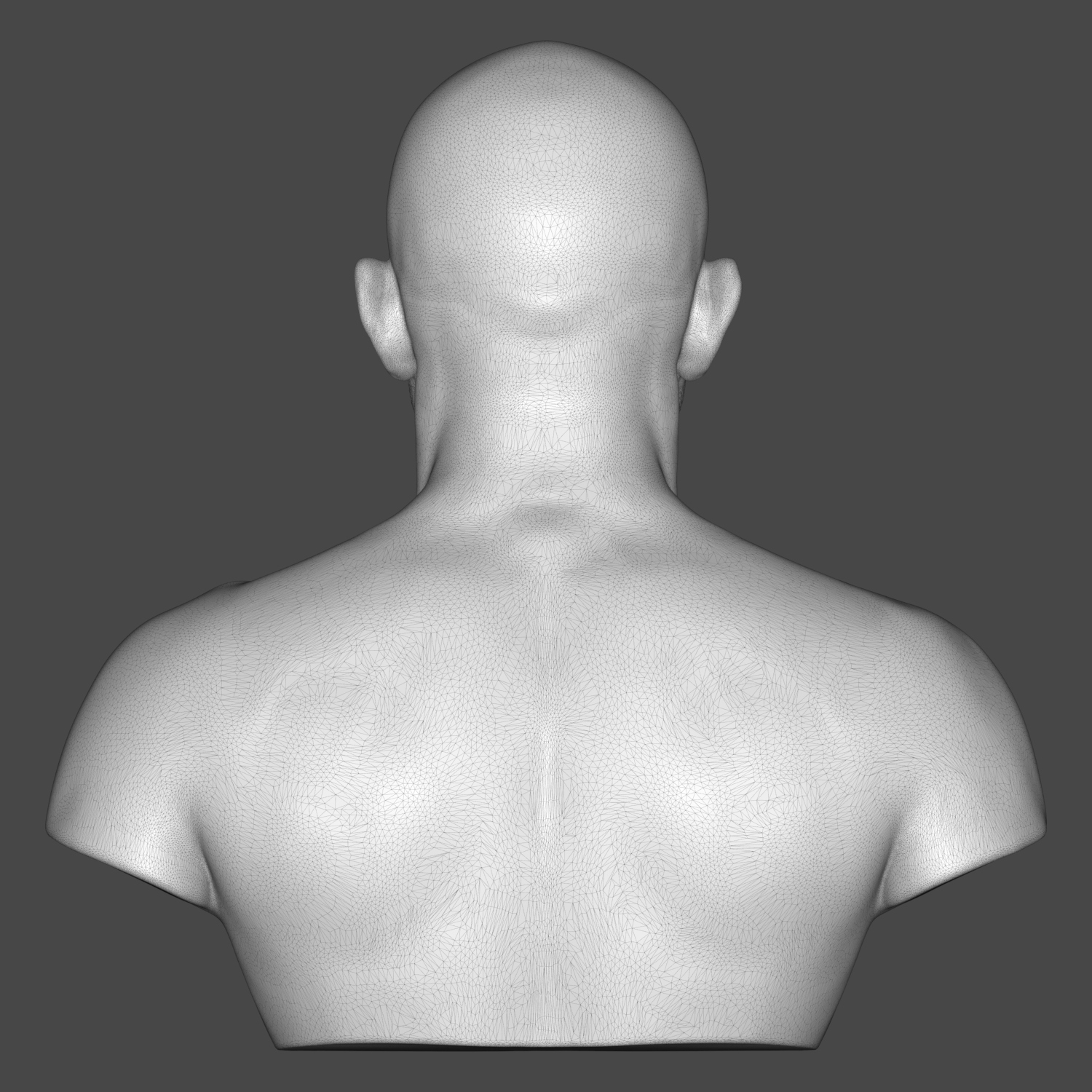Alexander Volkanovski MMA Fighter 3D Printable Bust 3D Model