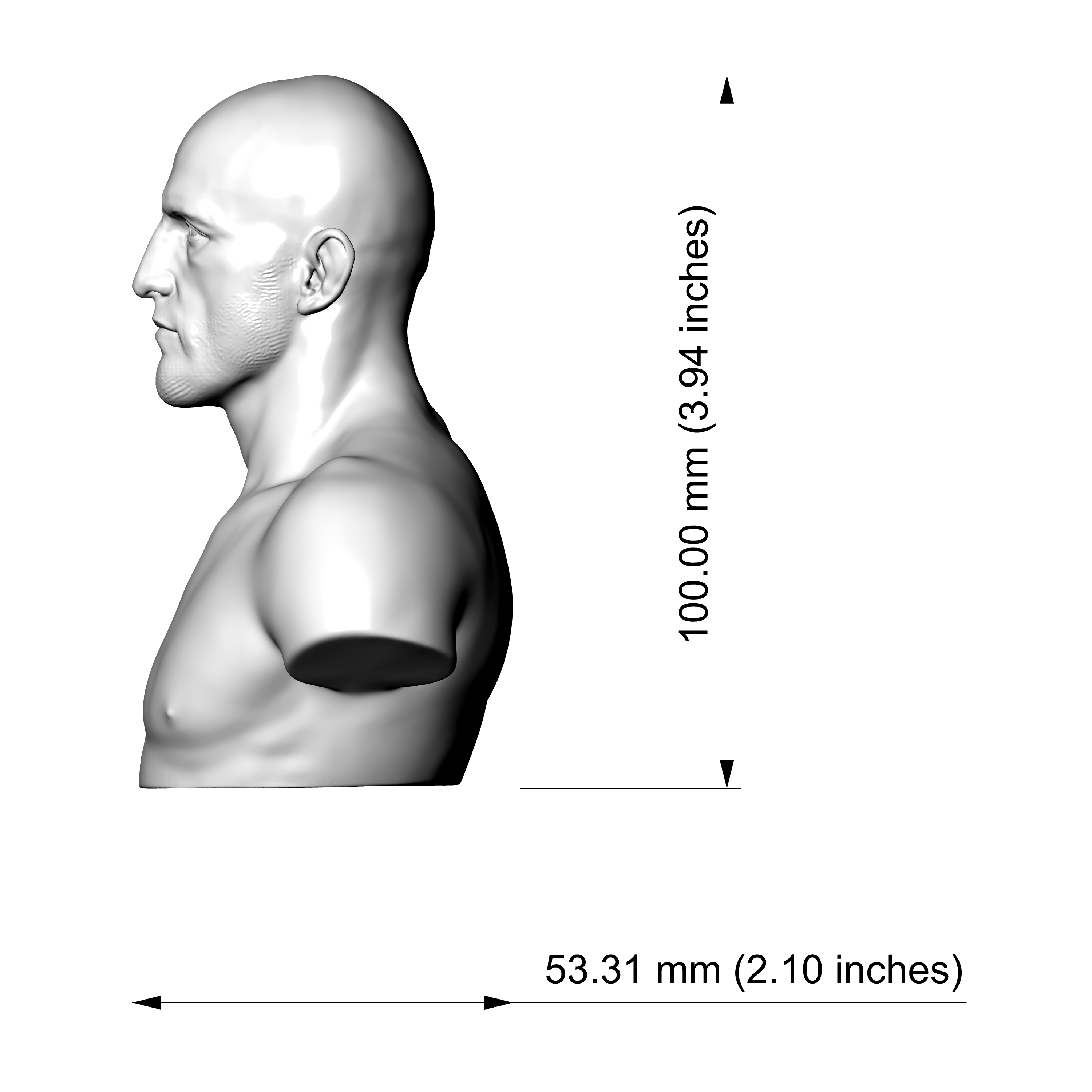 Alexander Volkanovski MMA Fighter 3D Printable Bust 3D Model