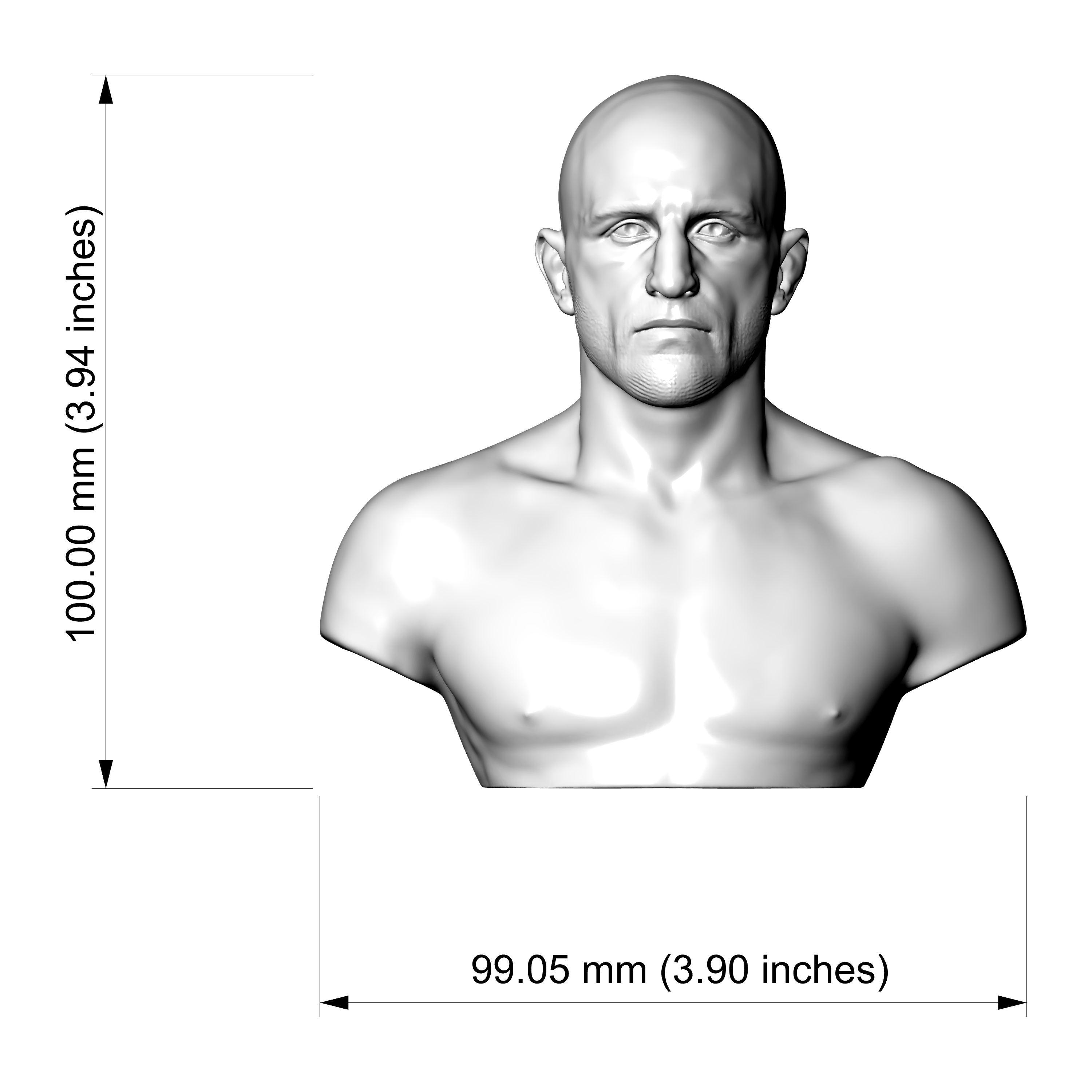 Alexander Volkanovski MMA Fighter 3D Printable Bust 3D Model