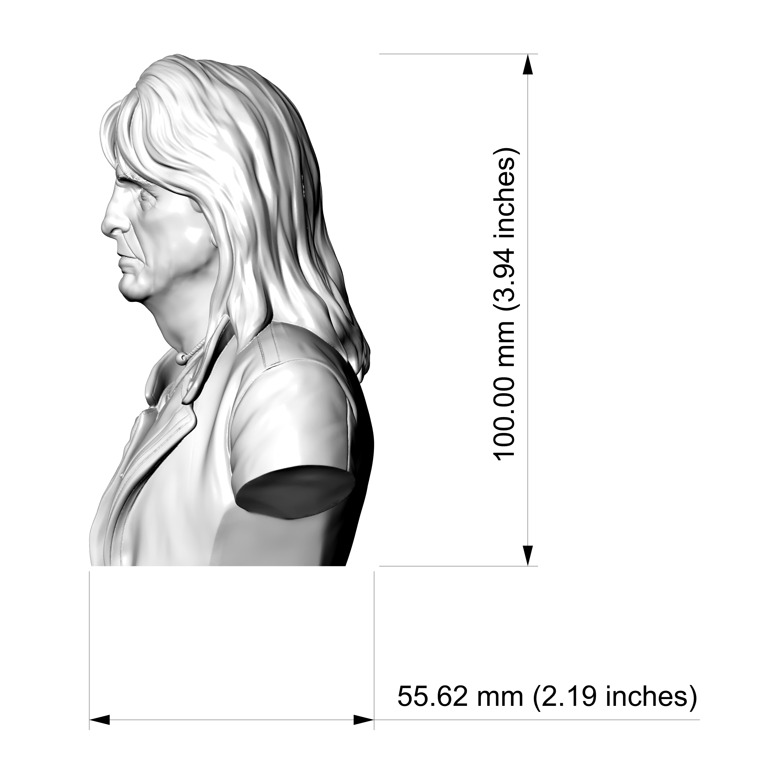 Alice Cooper 3D Printable Bust 3D Model