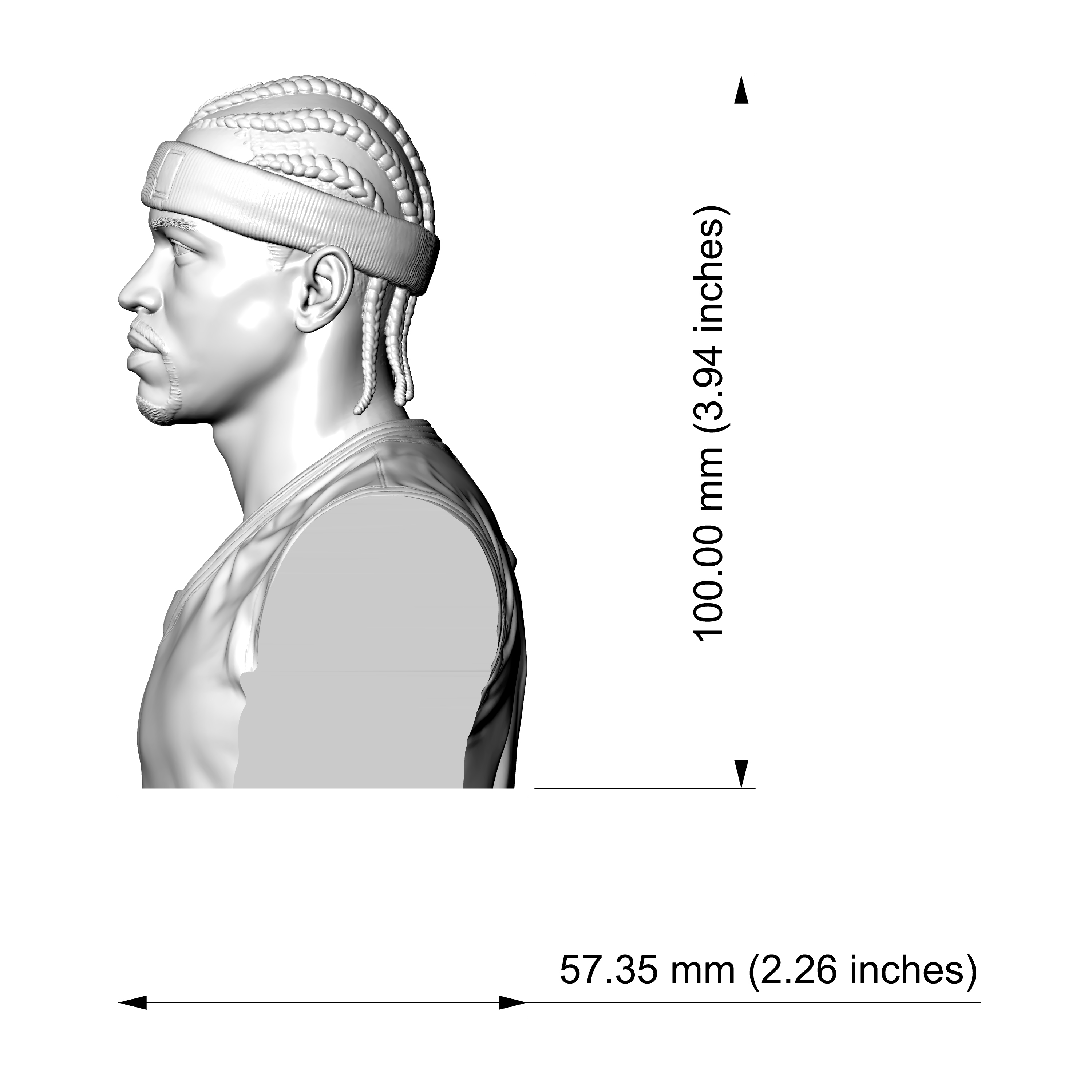 Allen Iverson 3D Printable Bust 3D Model