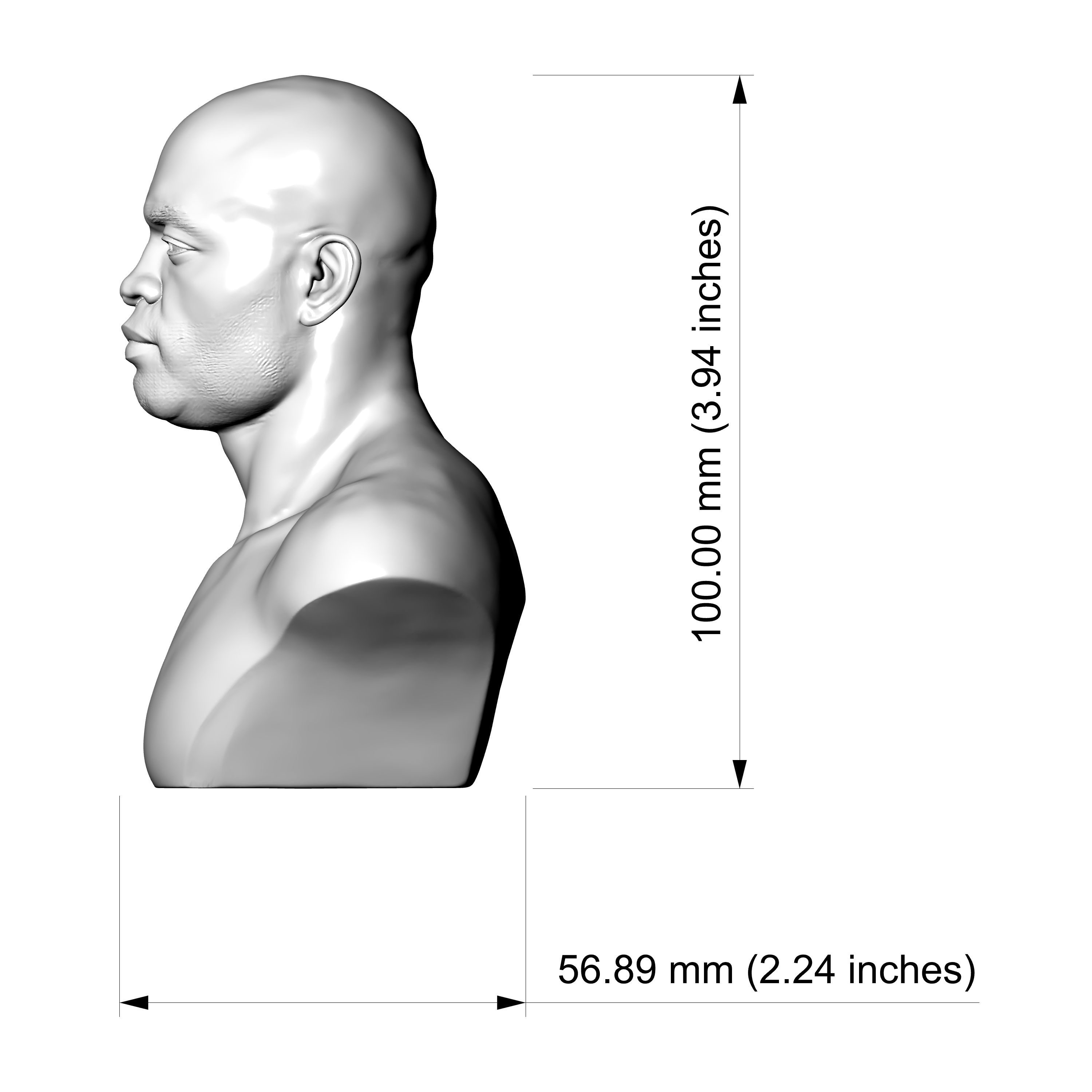 Anderson Silva UFC Fighter 3d Printable Bust 3D Model