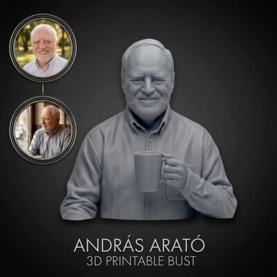 András Arató 3D Printable Bust