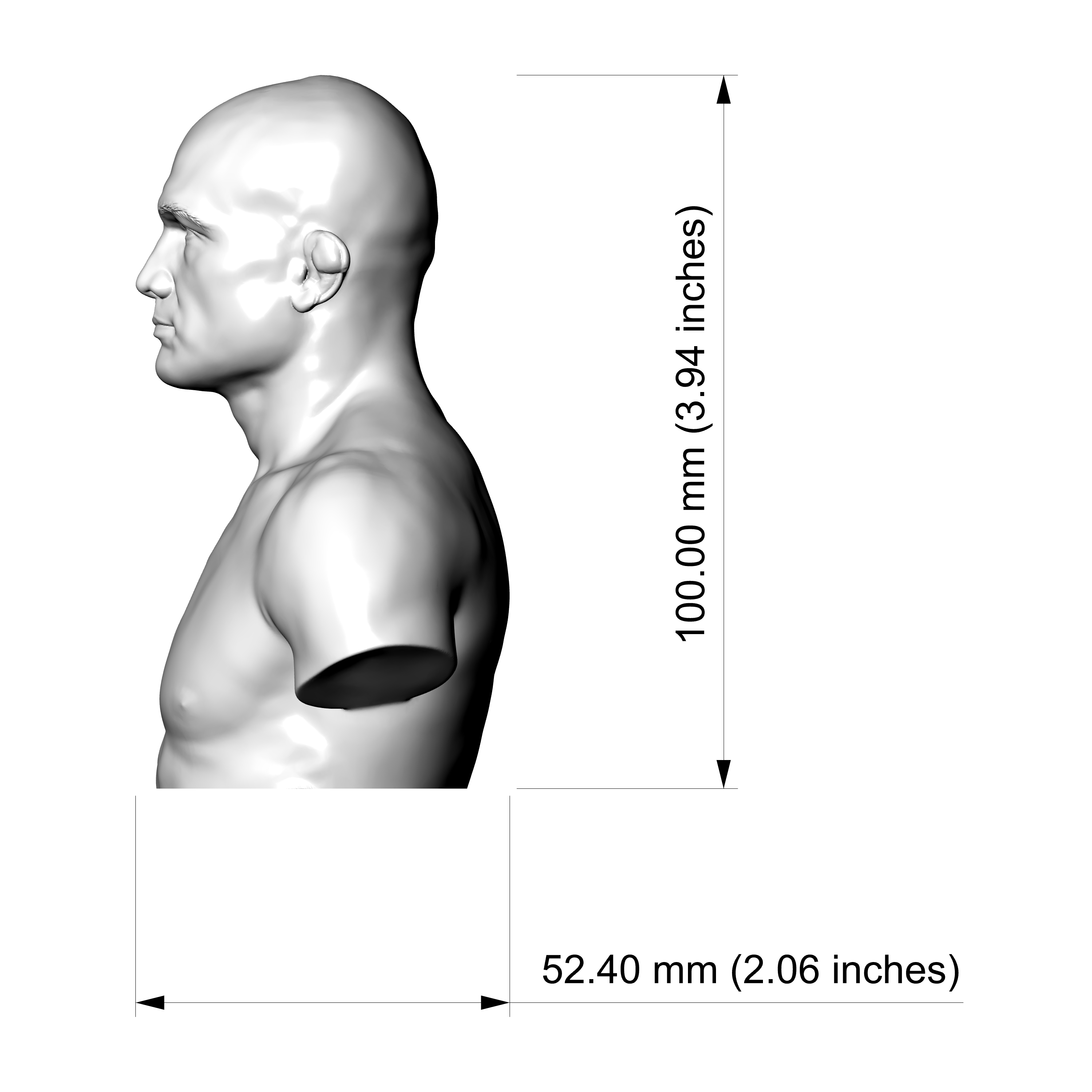B.J. Penn UFC Champion 3D Printable Bust 3D Model