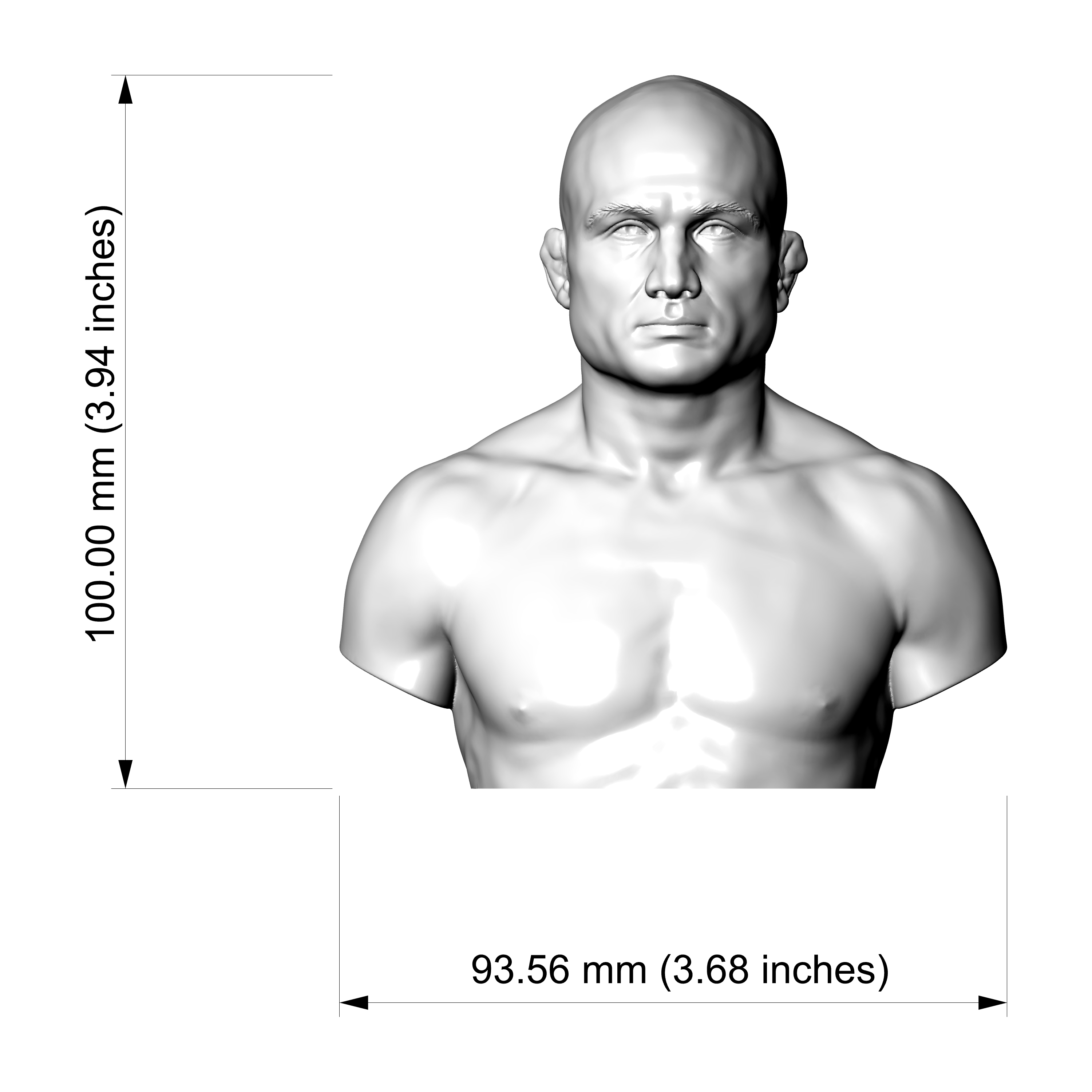 B.J. Penn UFC Champion 3D Printable Bust 3D Model