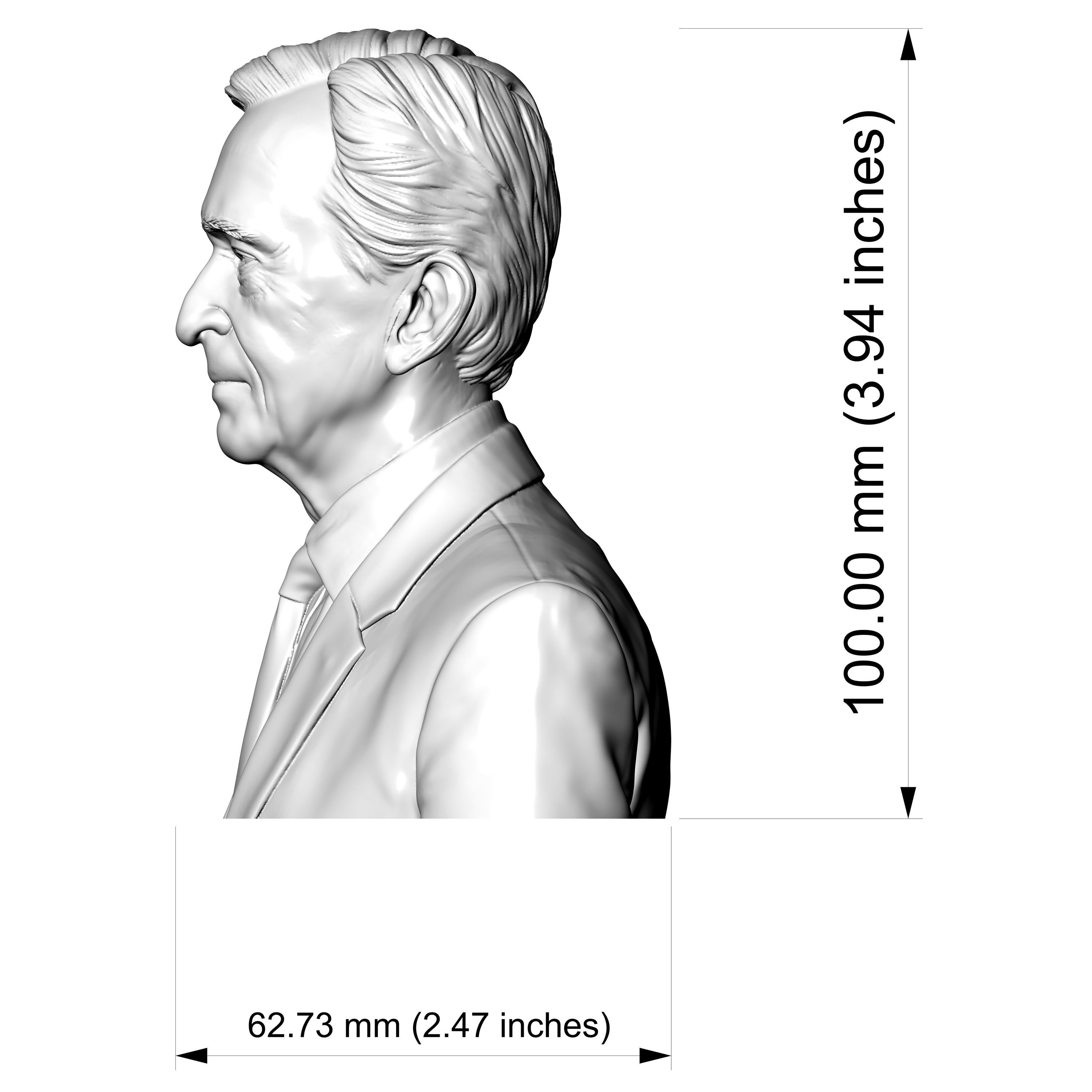 Bernard Arnault Bust 3D Printable 3D Model