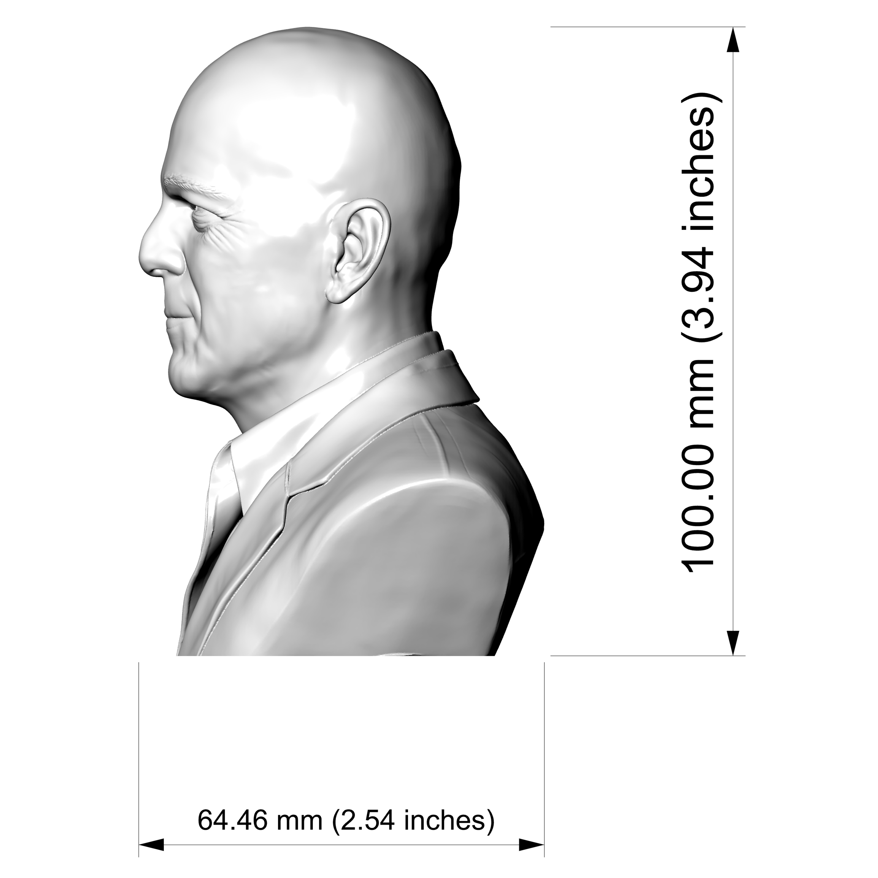 Bruce Willis 3D Printable Bust 3D Model