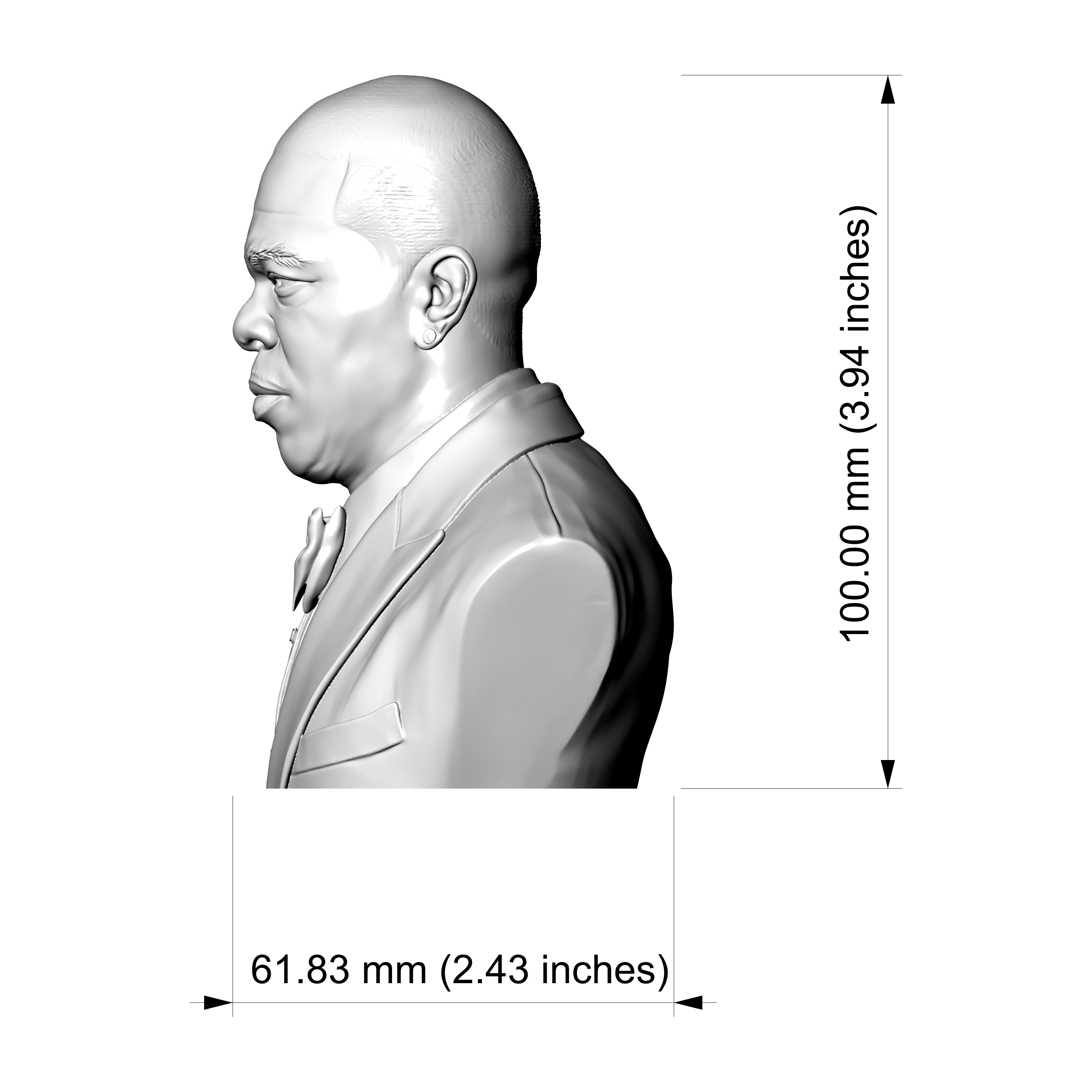 Busta Rhymes 3D Printable Bust 3D Model