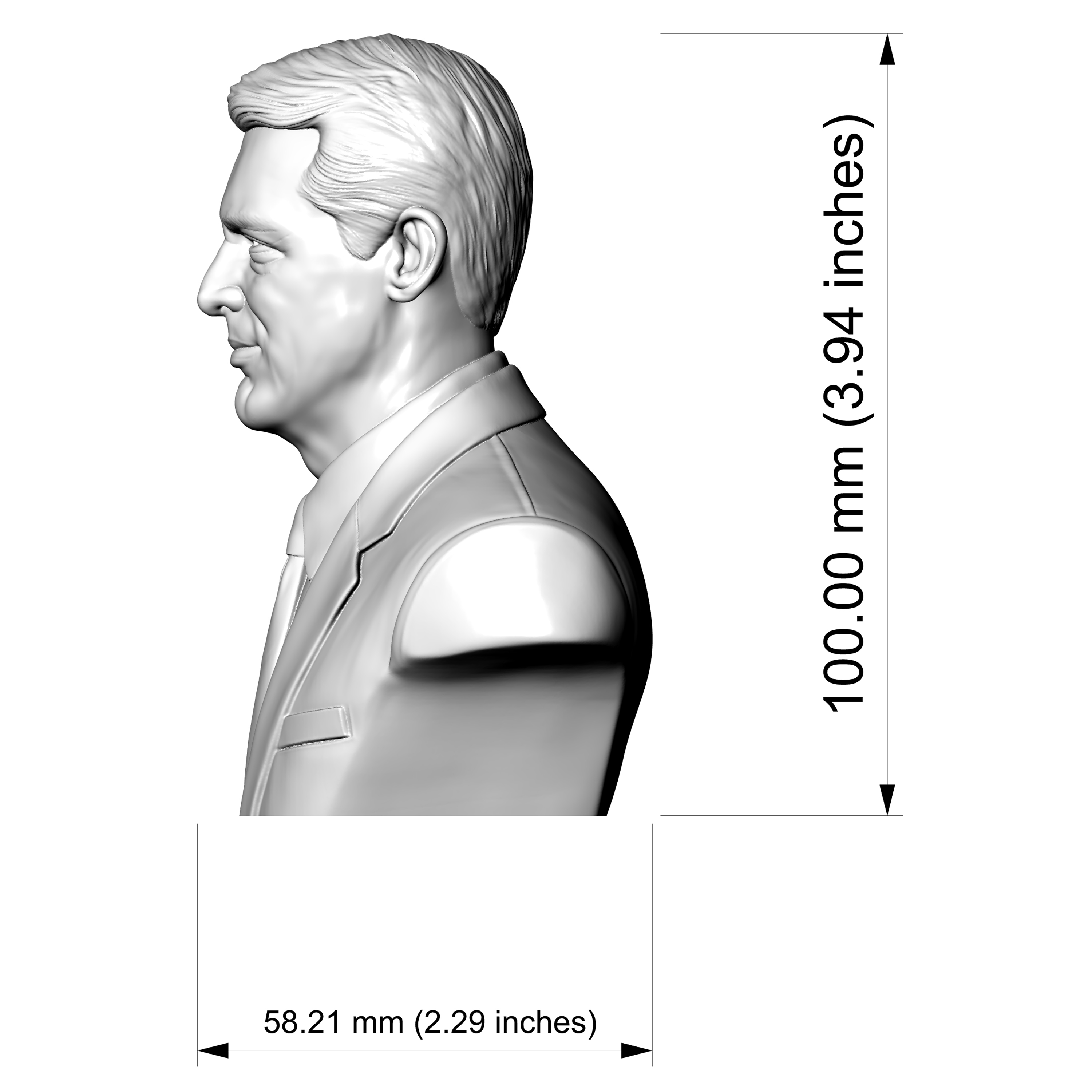 Cary Grant Bust 3D Printable 3D Model