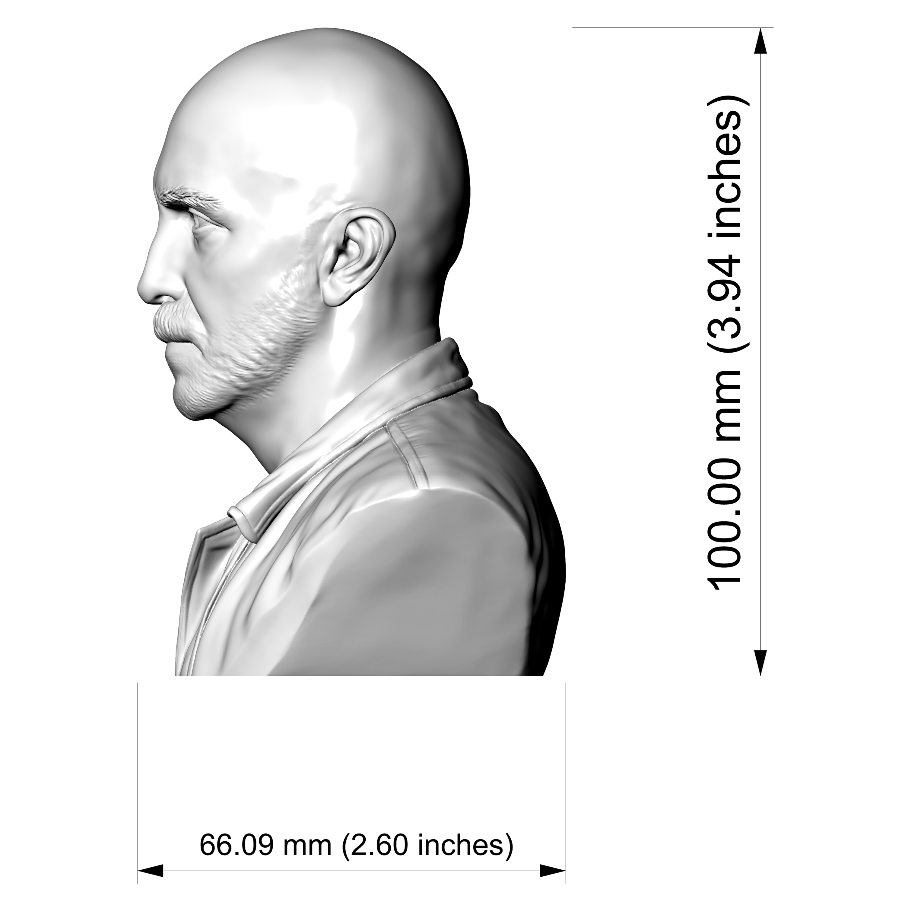 Cesc Gay Spanish Director Bust 3D Model