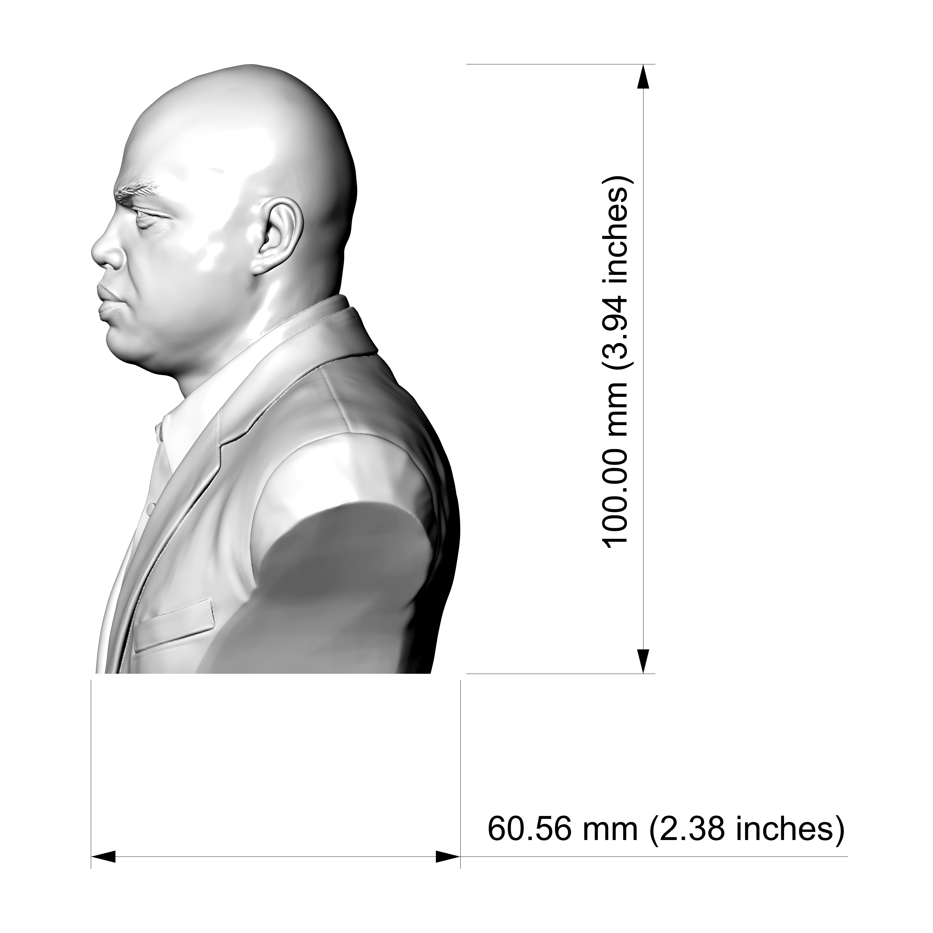 Charles Barkley 3D Printable Bust 3D Model