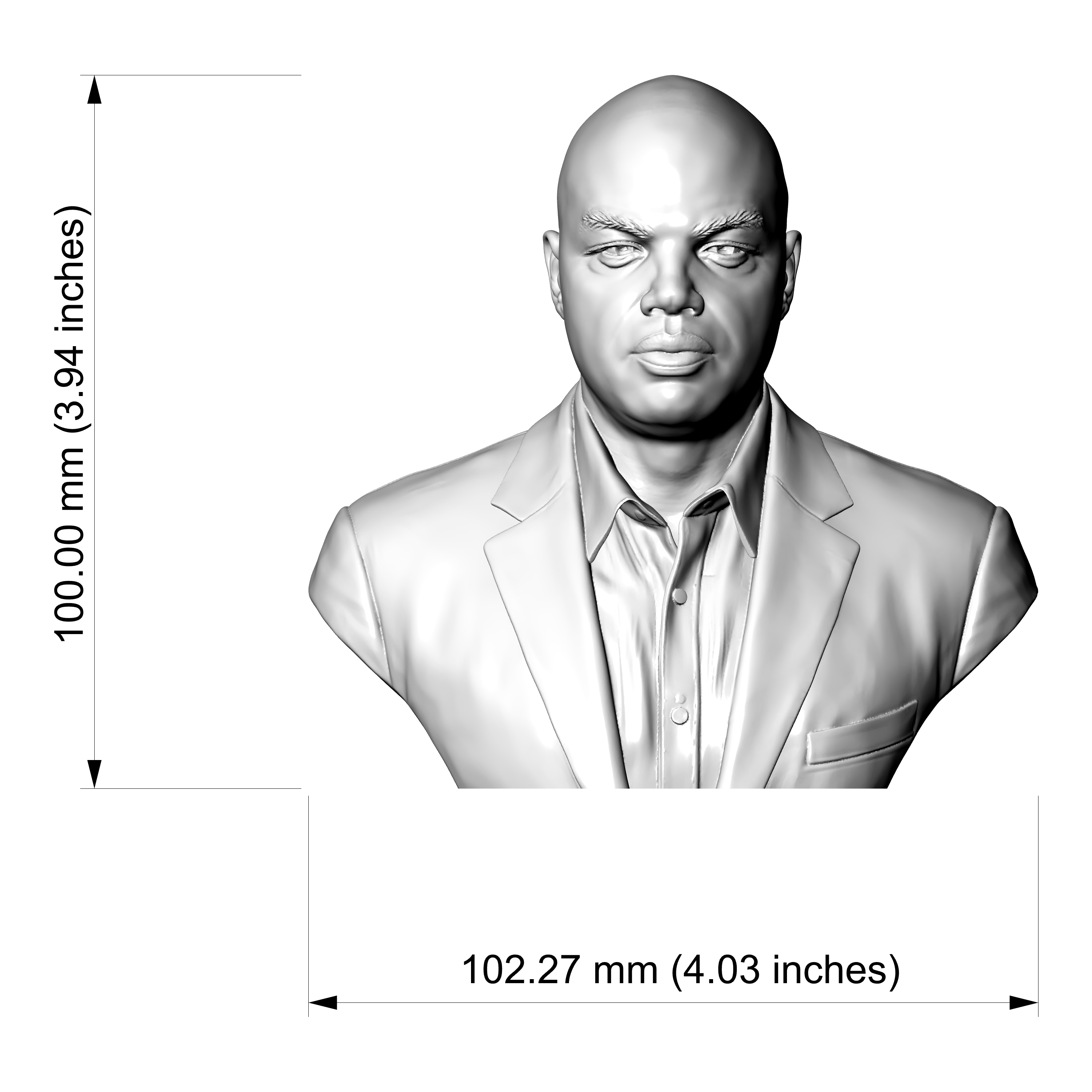 Charles Barkley 3D Printable Bust 3D Model