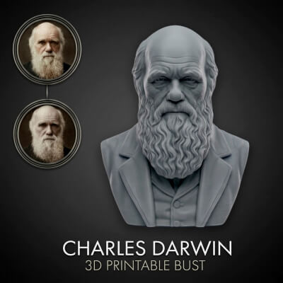 Charles Darwin 3D Printable Bust