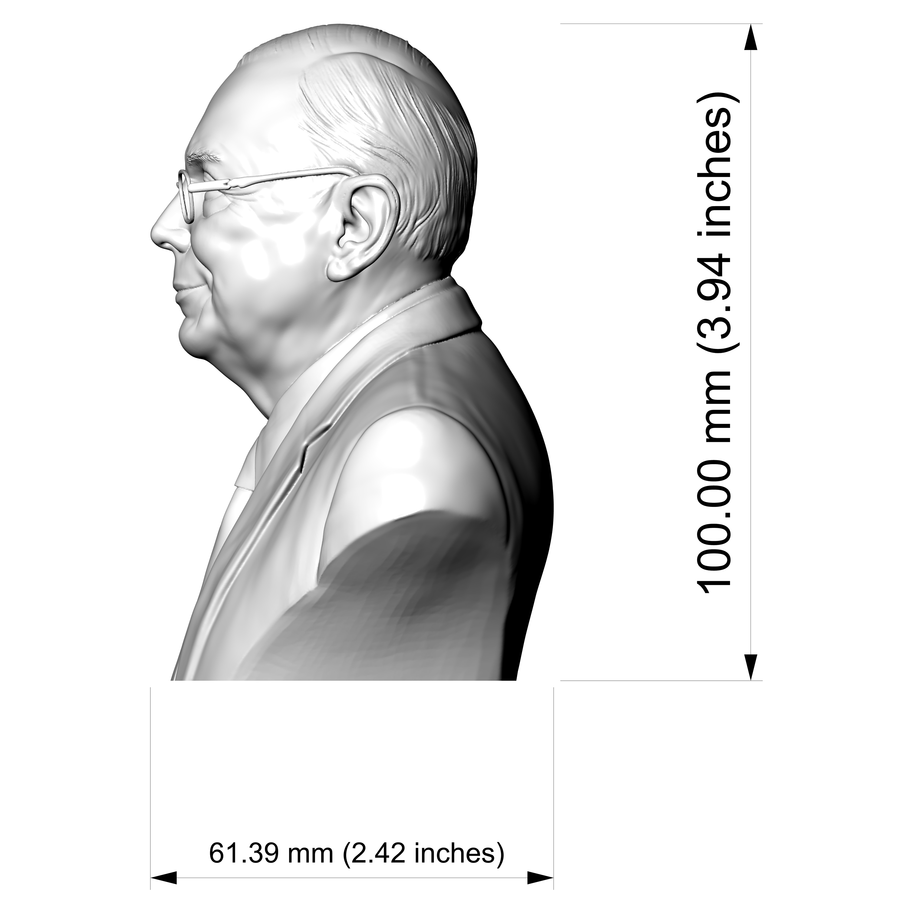 Charlie Munger Bust 3D Printable 3D Model