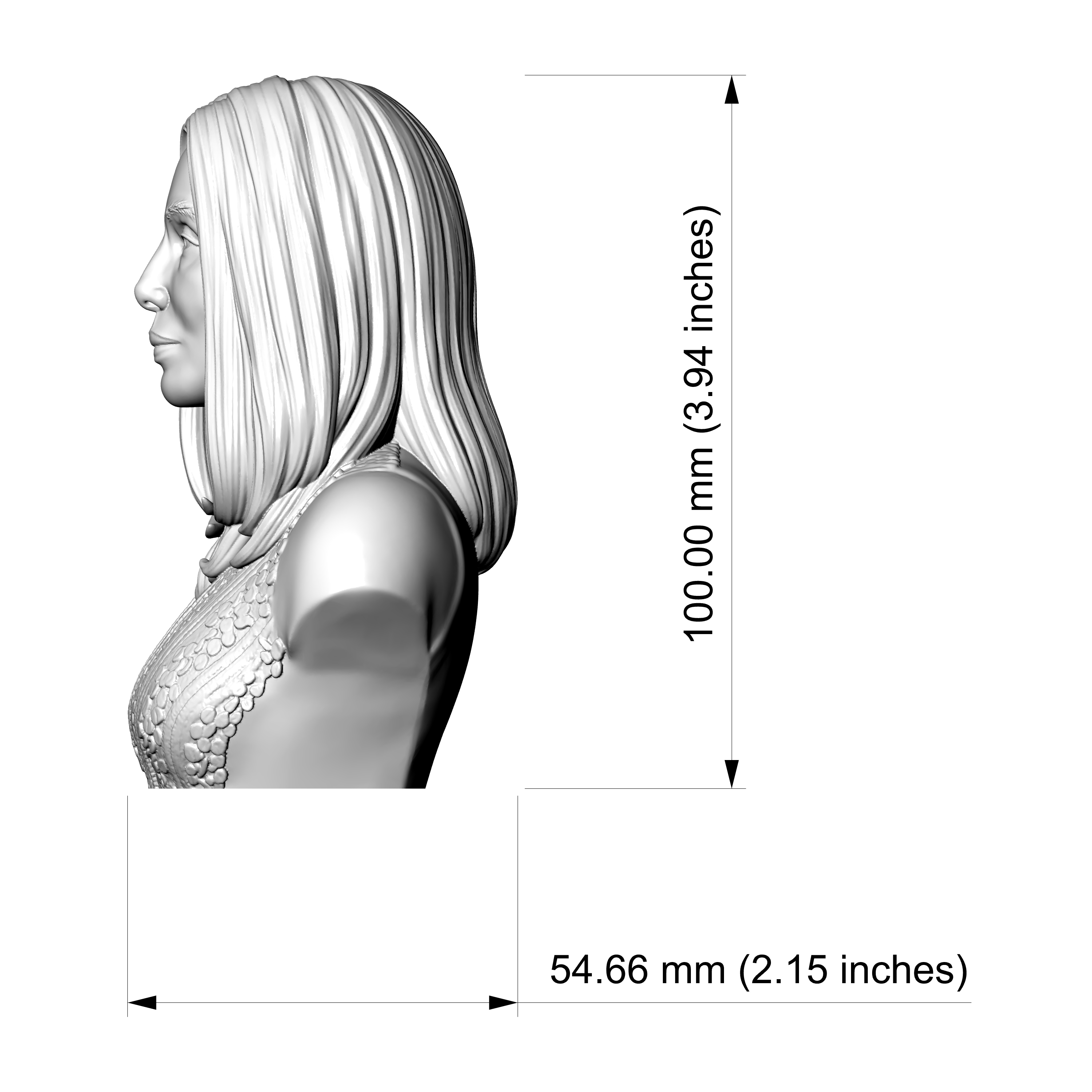 Cher 3D Printable Bust 3D Model
