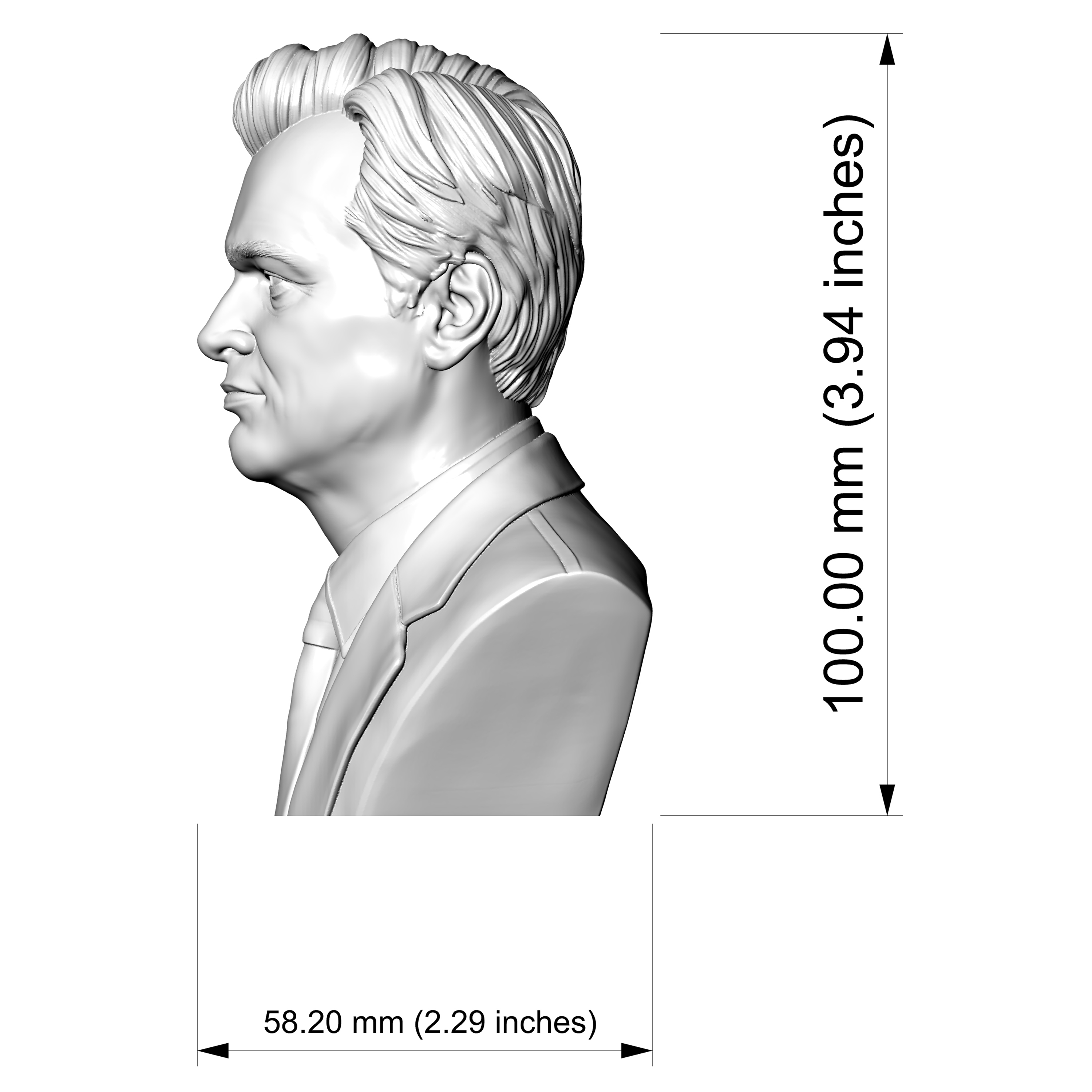 Christopher Nolan Bust 3D Printable 3D Model