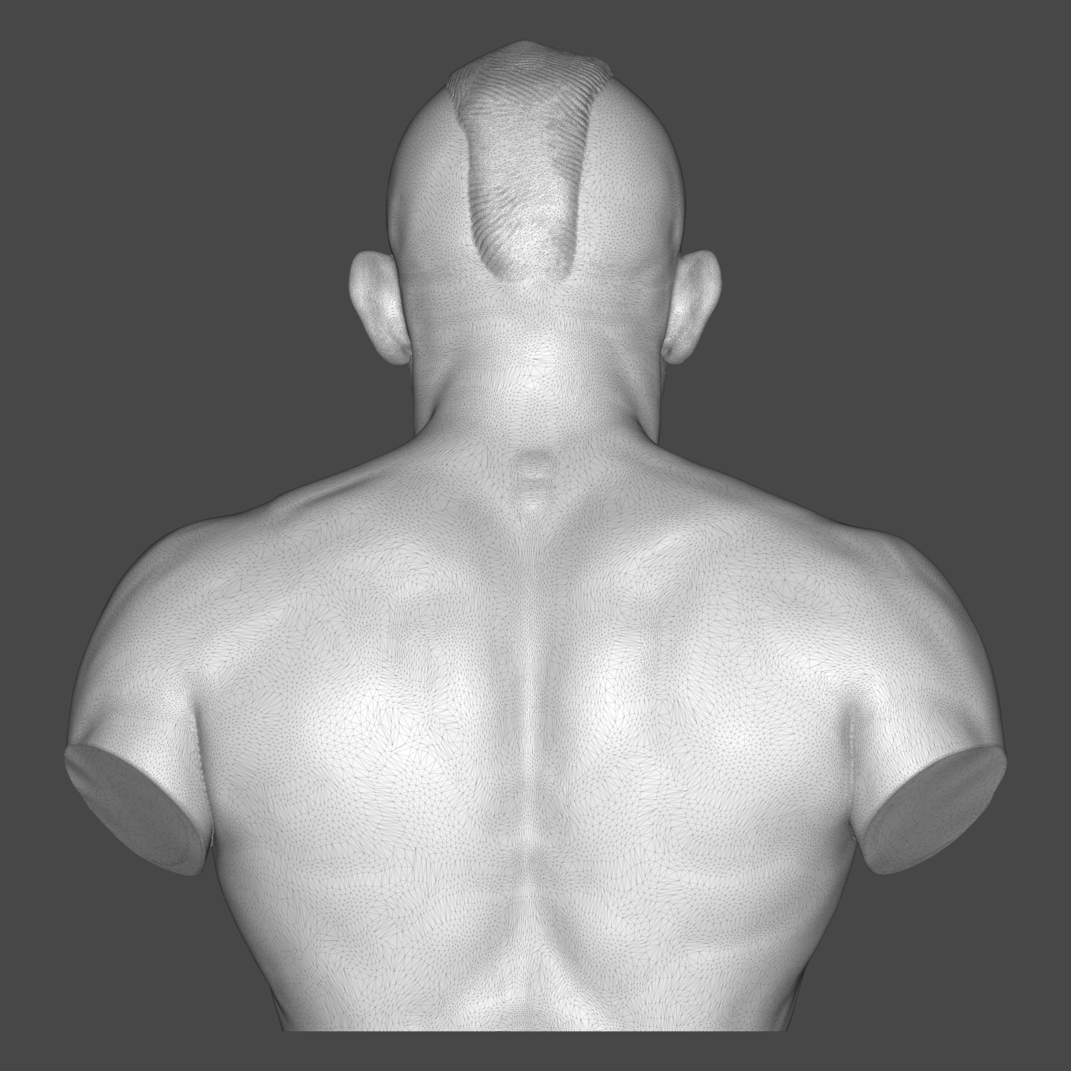 Chuck Liddell UFC Champion Fighter 3D Printable Bust 3D Model