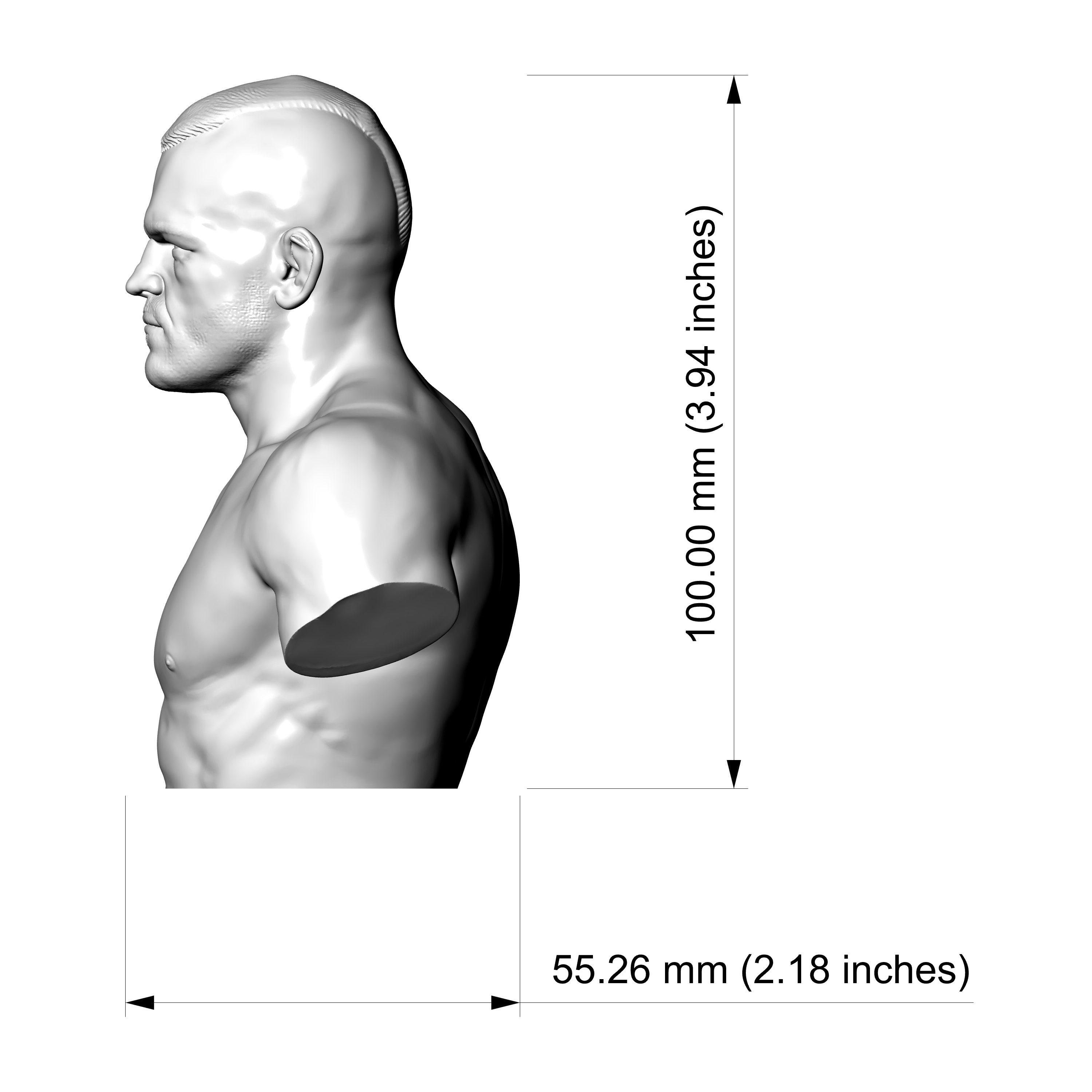 Chuck Liddell UFC Champion Fighter 3D Printable Bust 3D Model