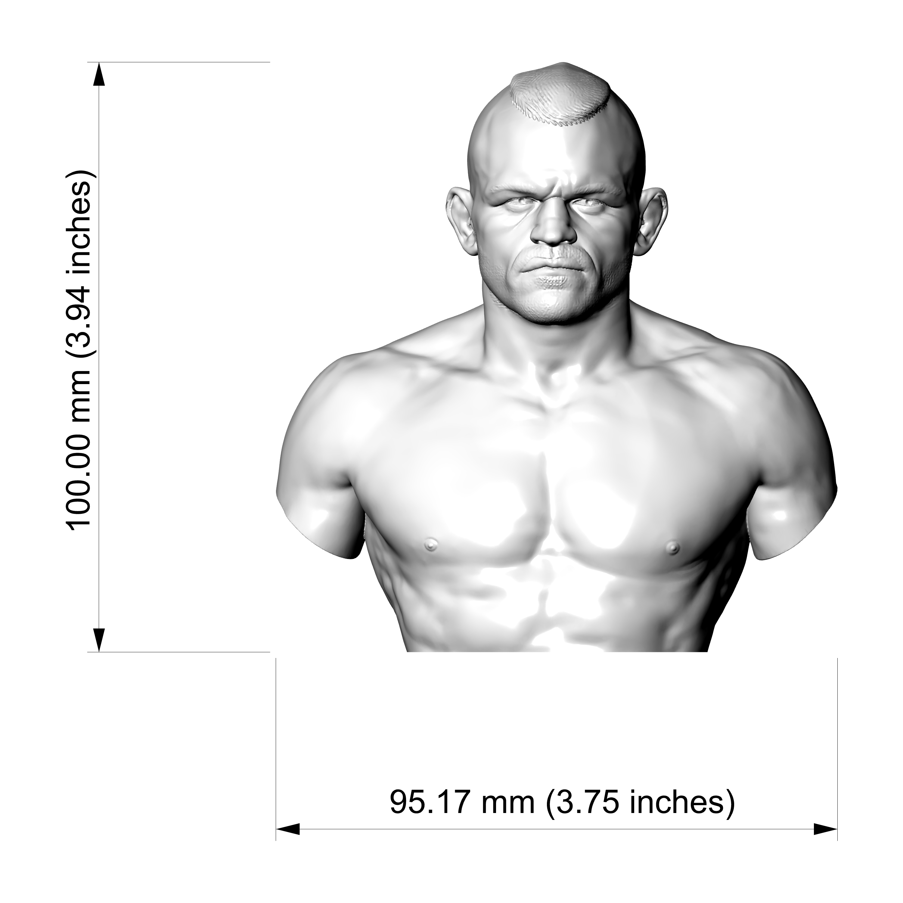 Chuck Liddell UFC Champion Fighter 3D Printable Bust 3D Model