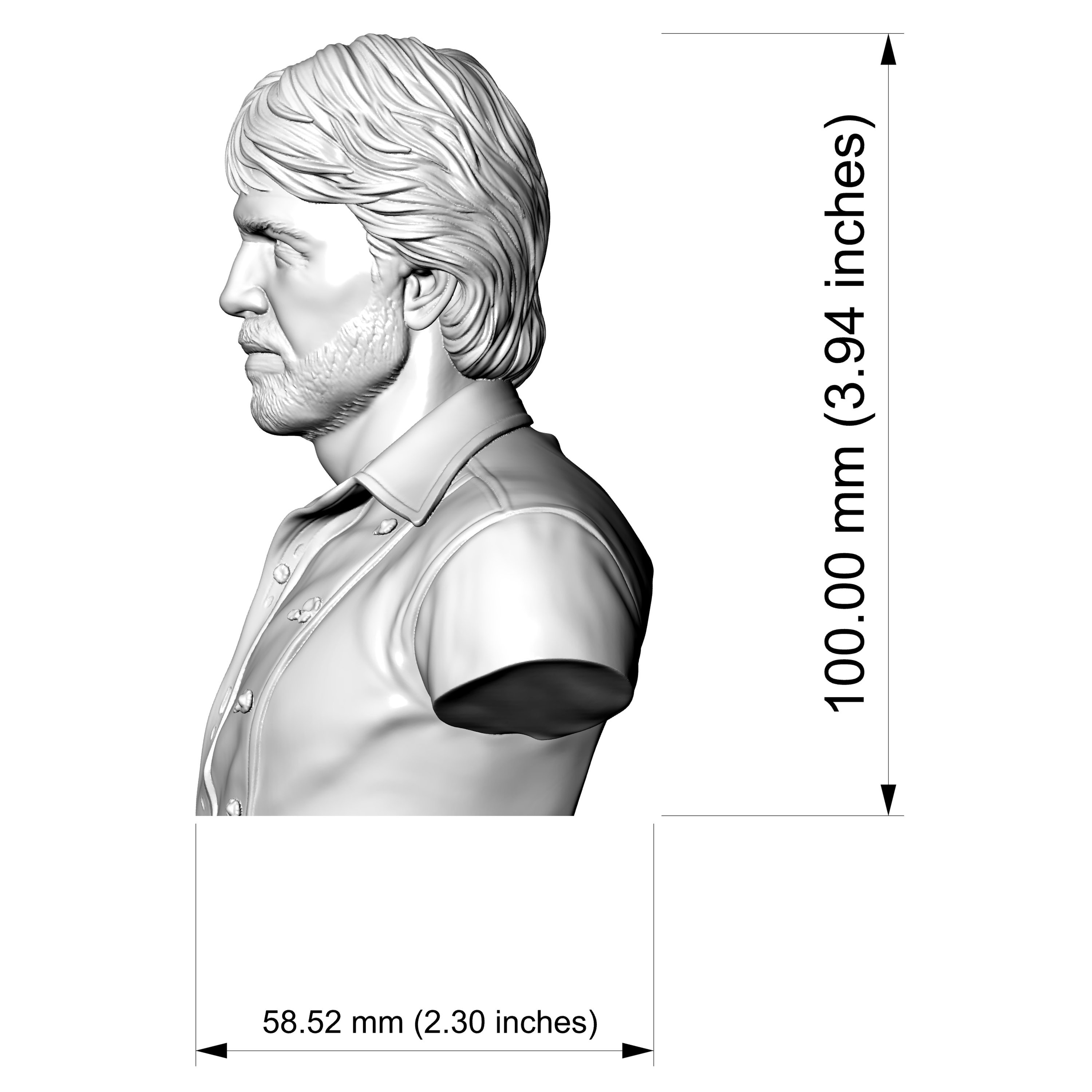 Chuck Norris Portrait Bust 3D Printable 3D Model