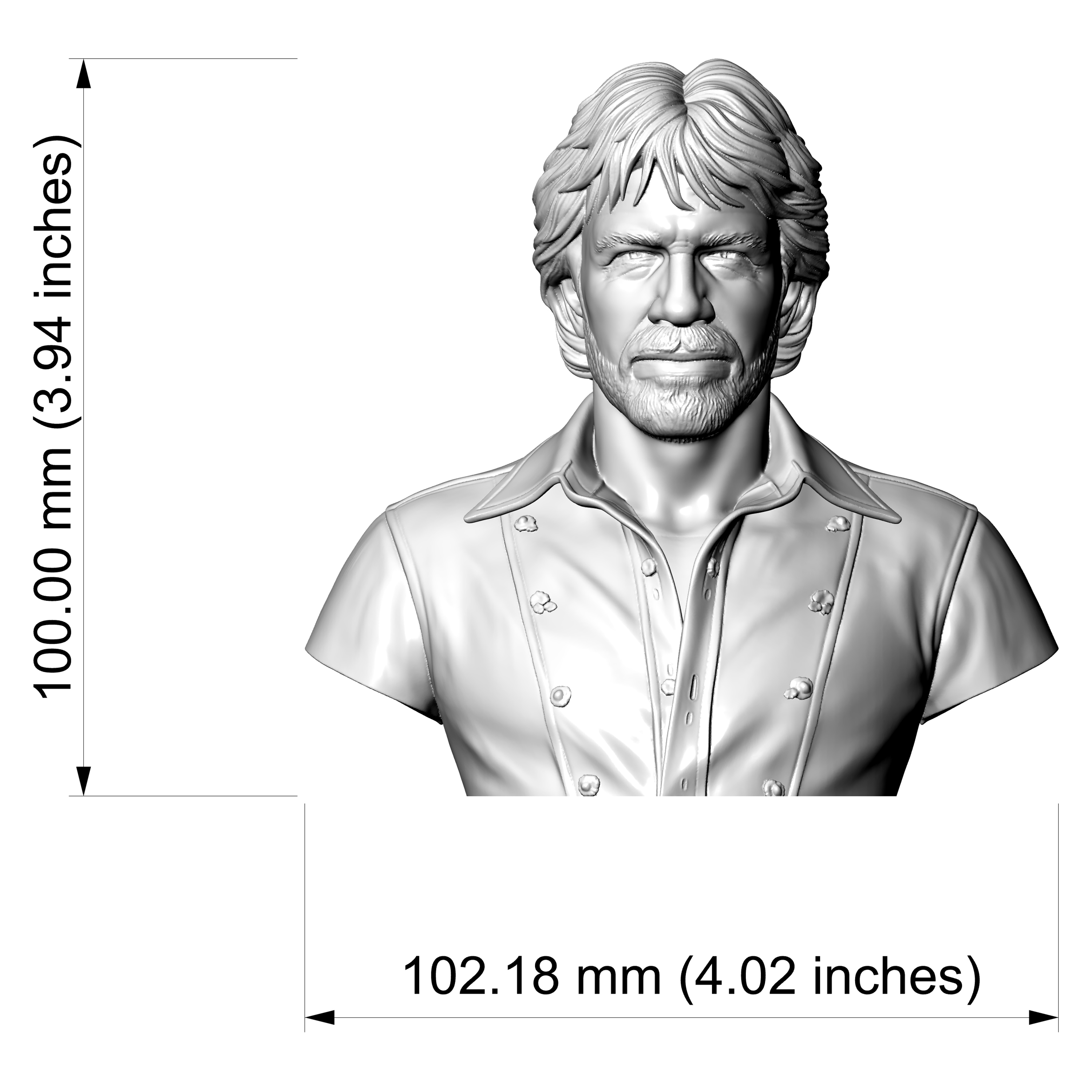 Chuck Norris Portrait Bust 3D Printable 3D Model