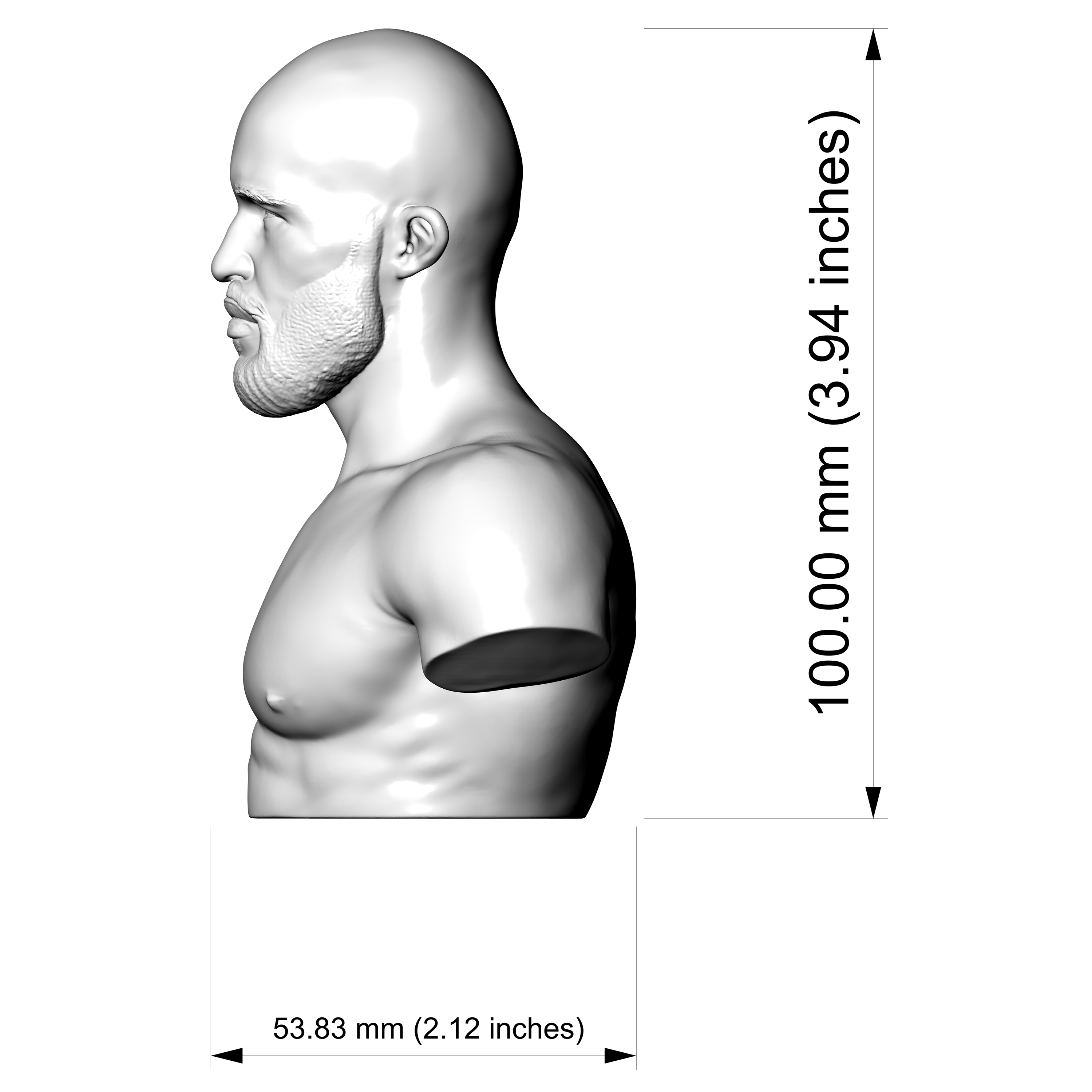 Demetrious Johnson 3D Printable Bust 3D Model