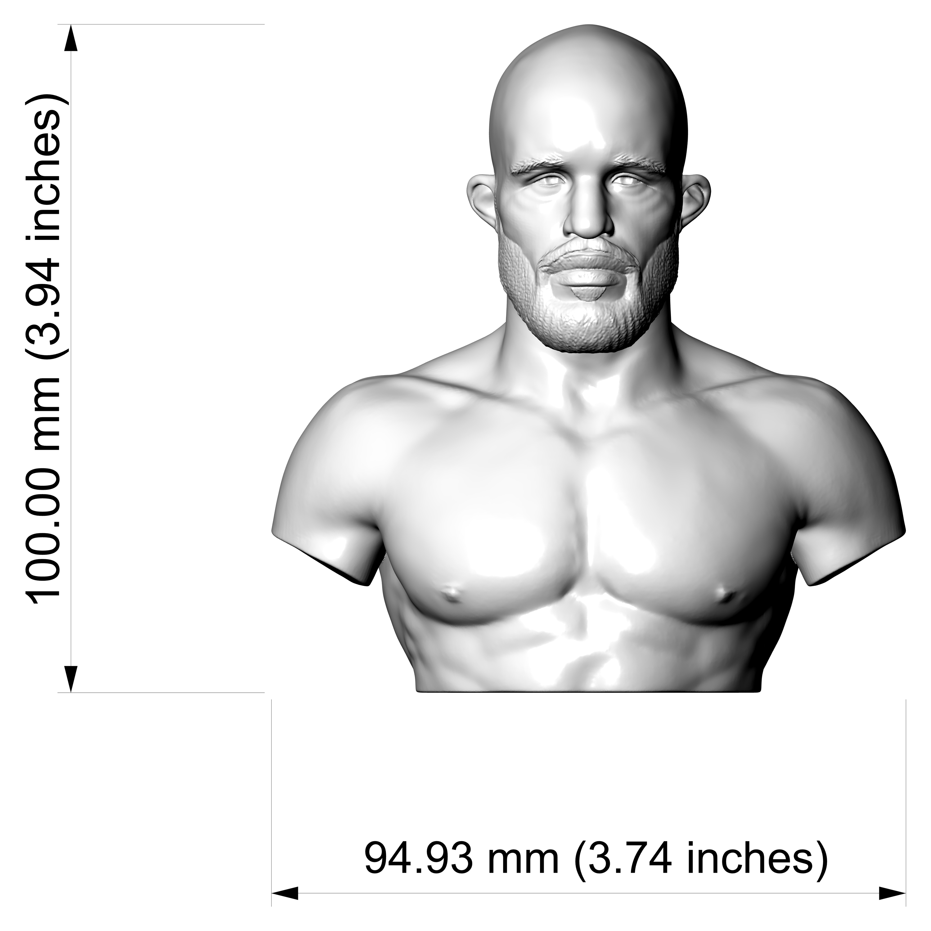Demetrious Johnson 3D Printable Bust 3D Model