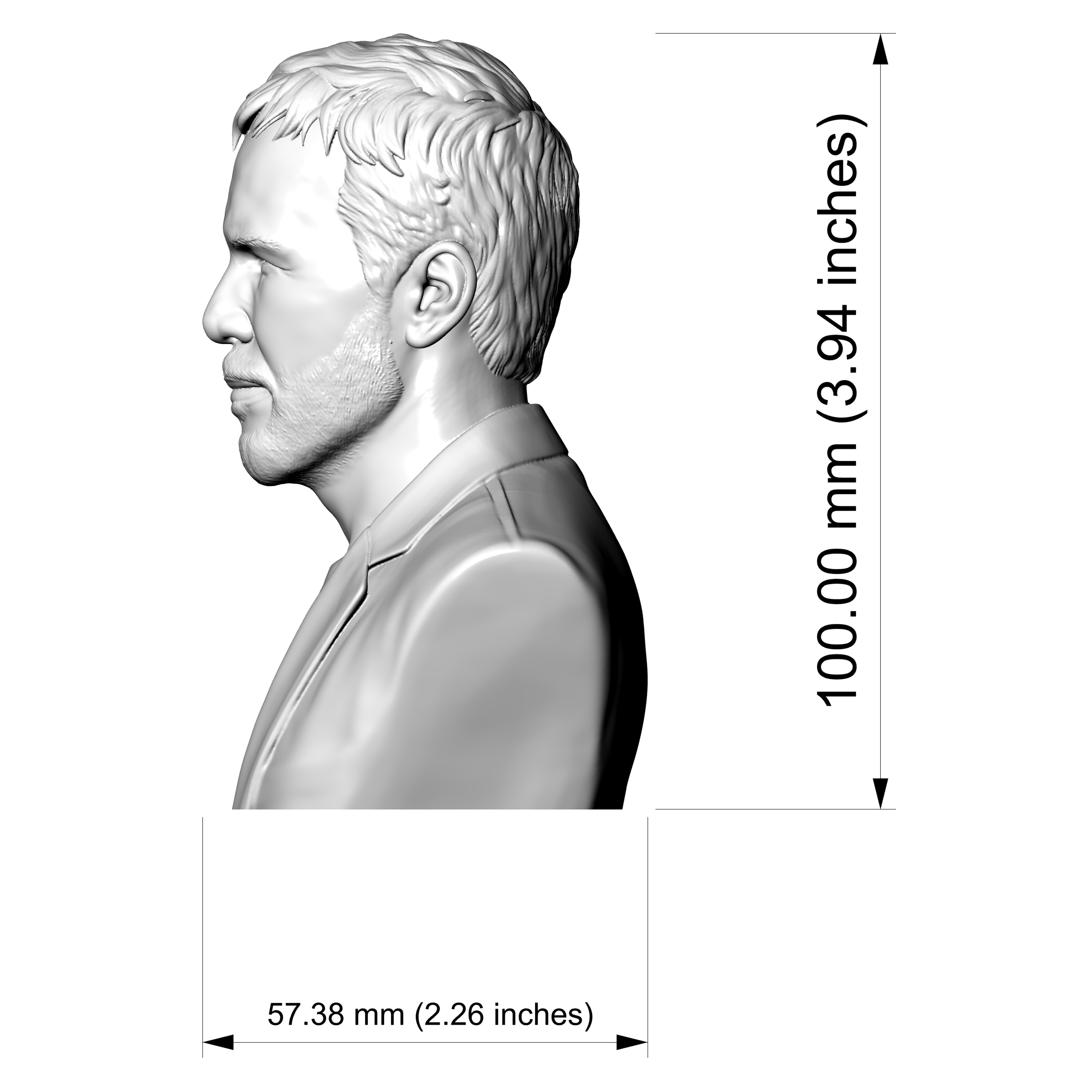Denis Villeneuve Bust 3D Printable 3D Model