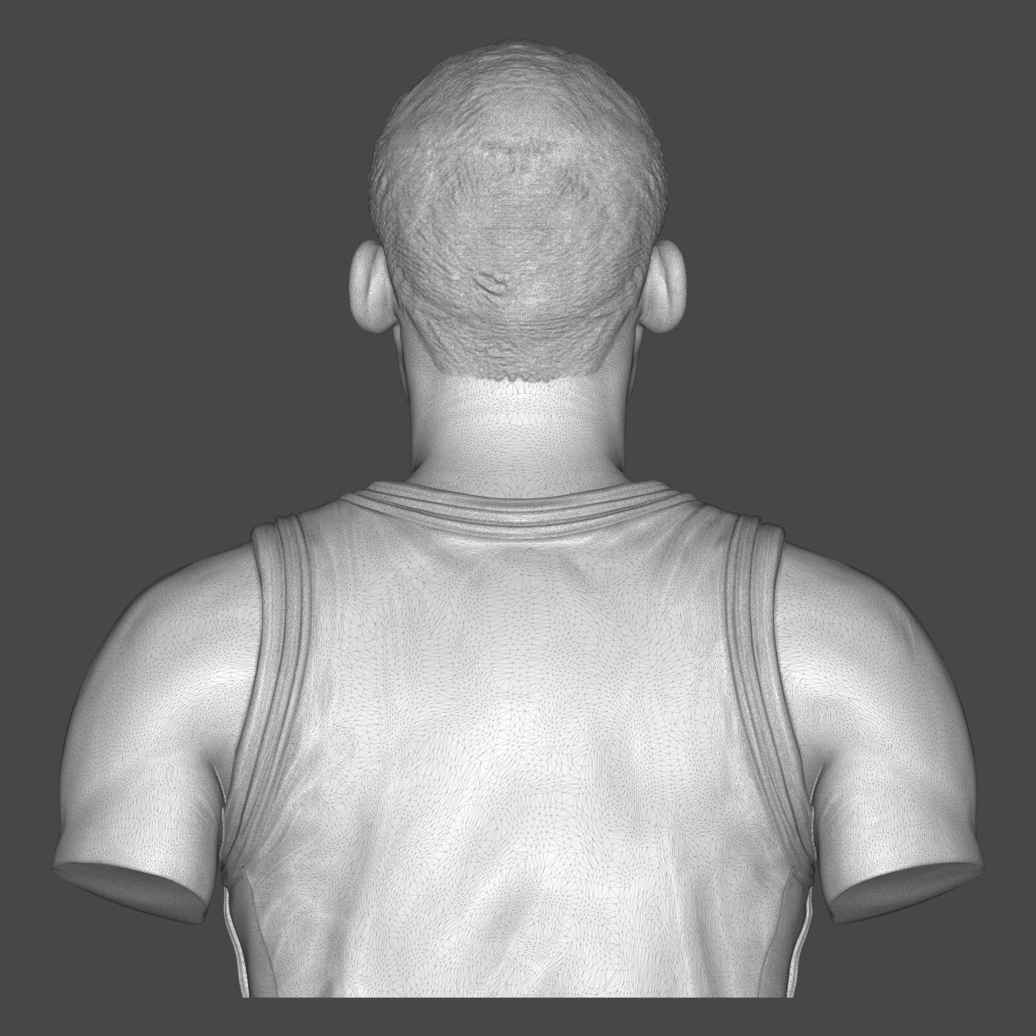 Dennis Rodman 3D Printable Bust 3D Model