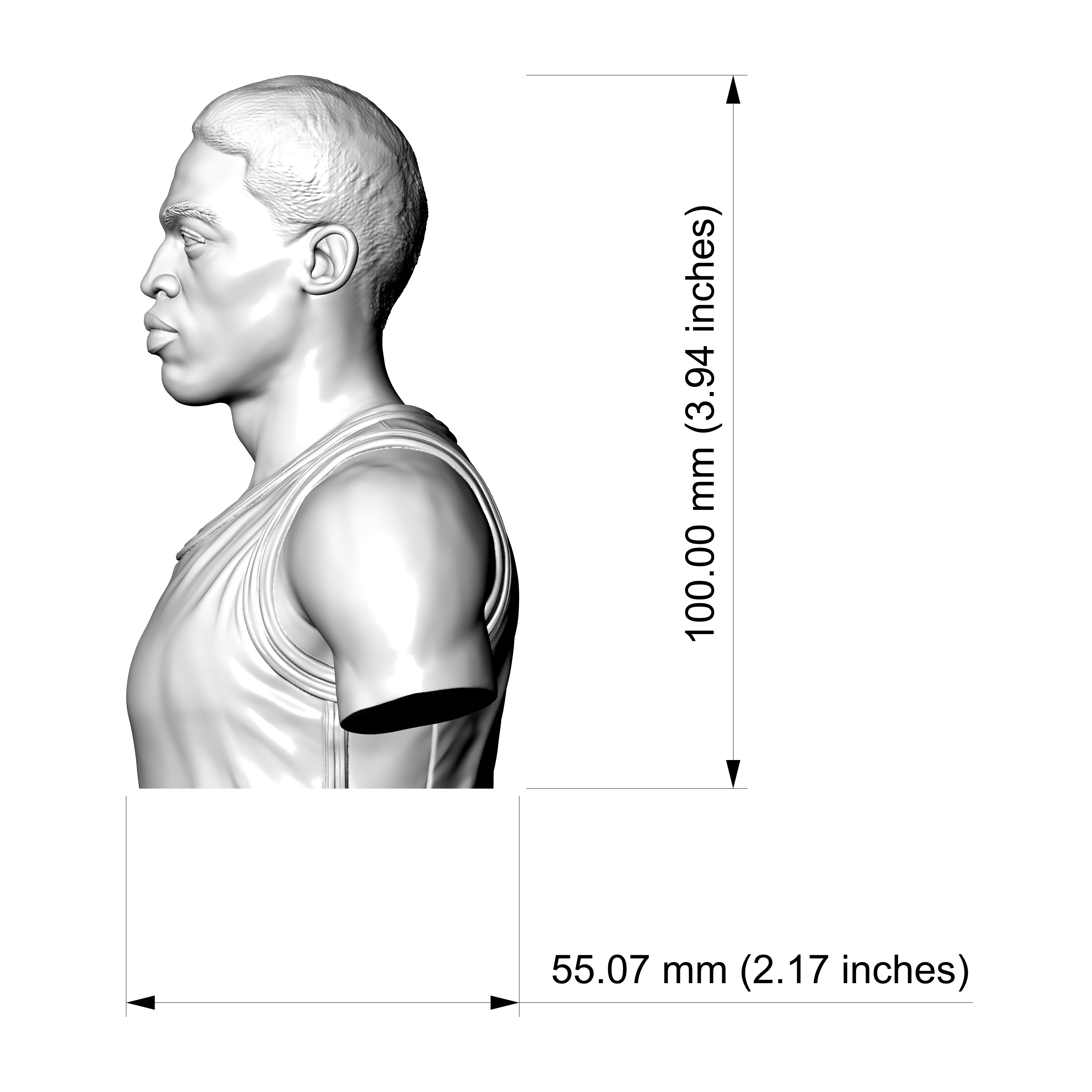 Dennis Rodman 3D Printable Bust 3D Model