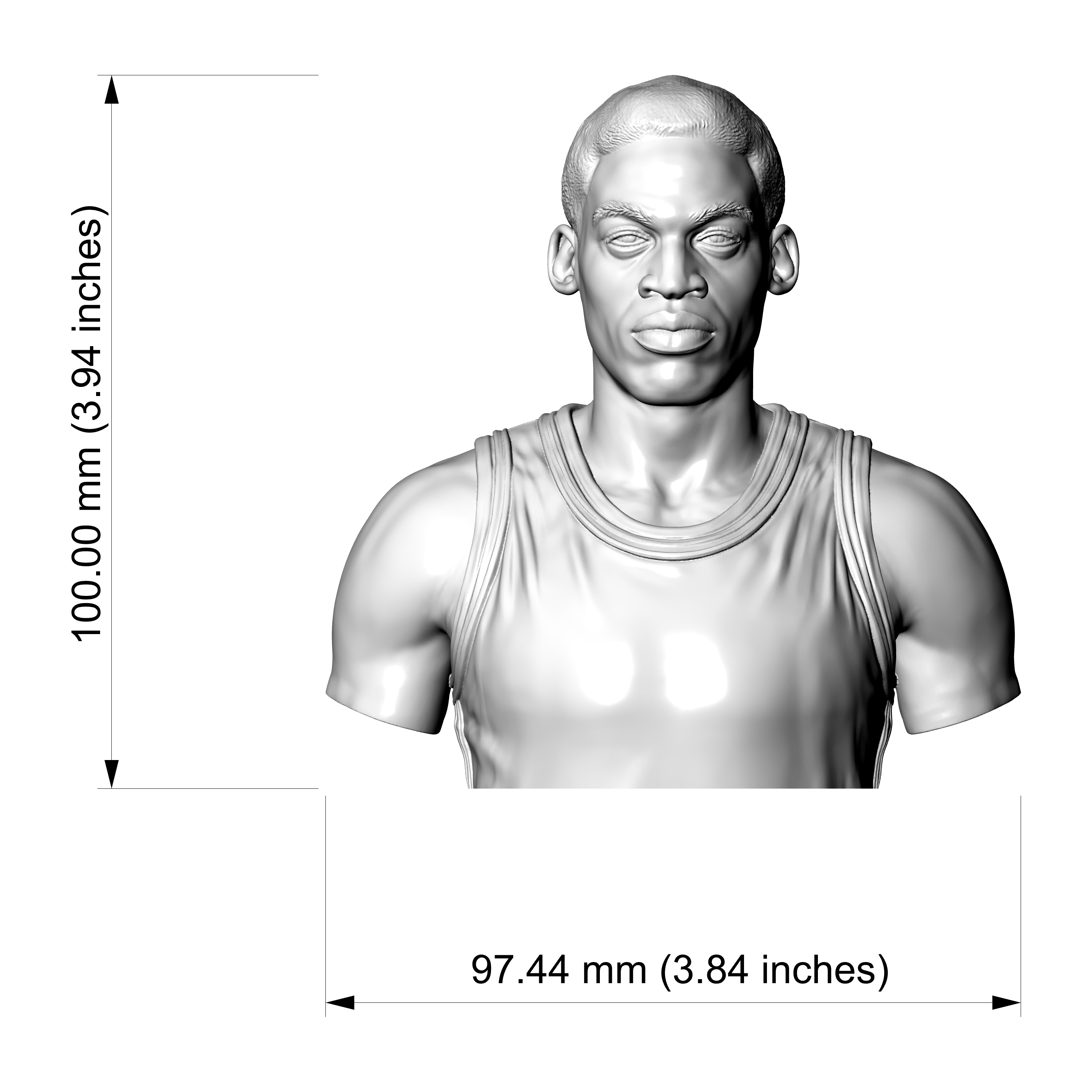 Dennis Rodman 3D Printable Bust 3D Model