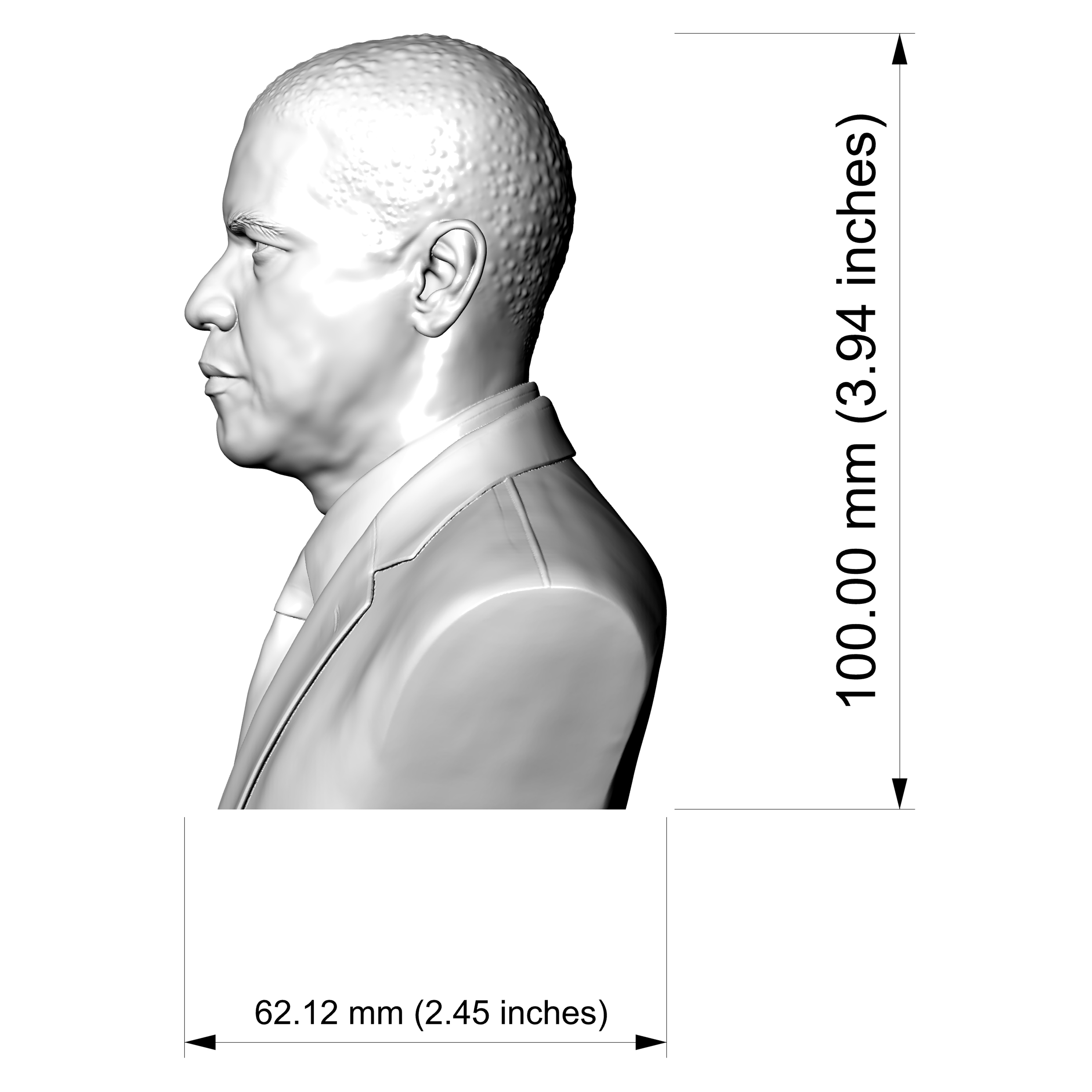 Denzel Washington 3D Printable Bust 3D Model