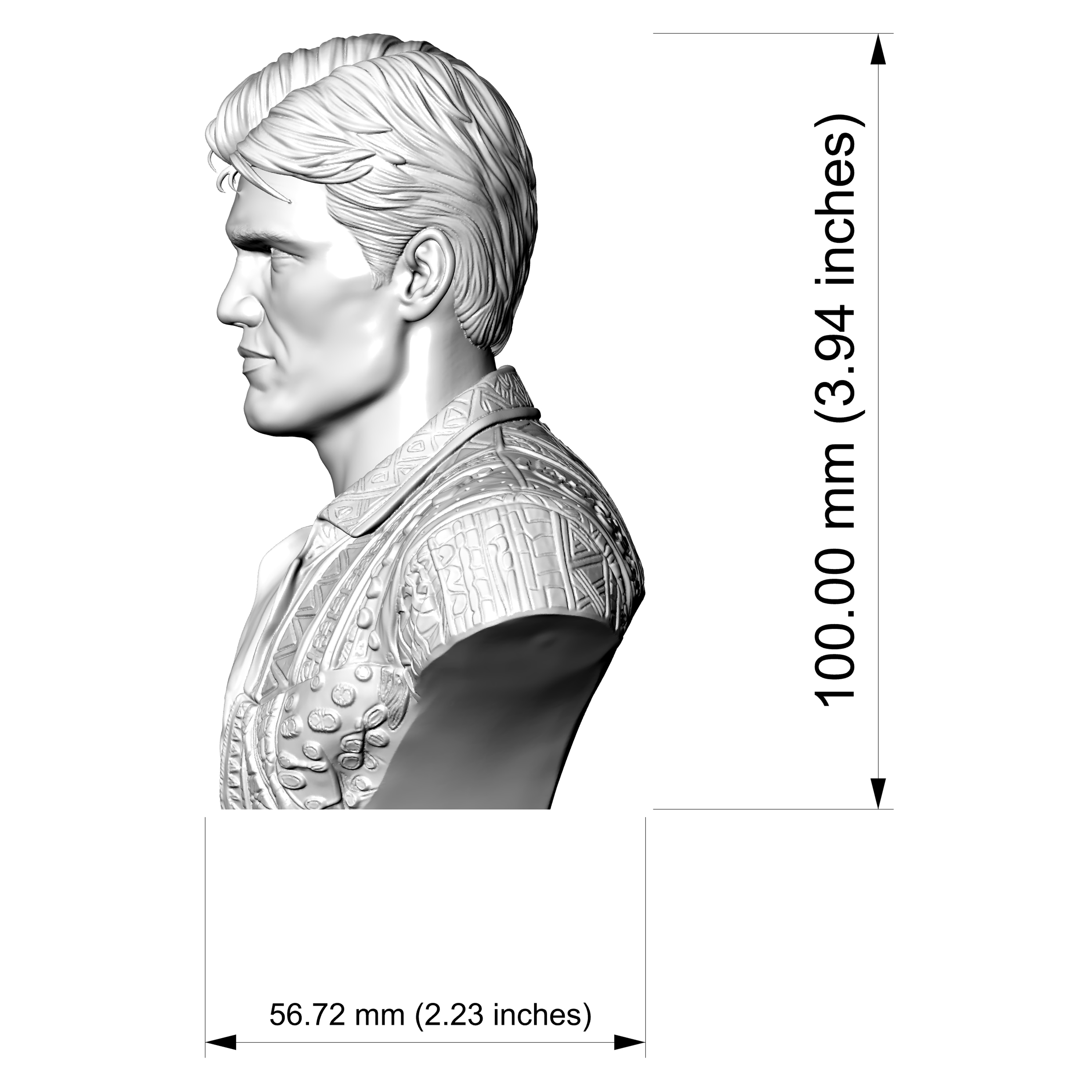 Dolph Lundgren Portrait Bust 3D Printable 3D Model