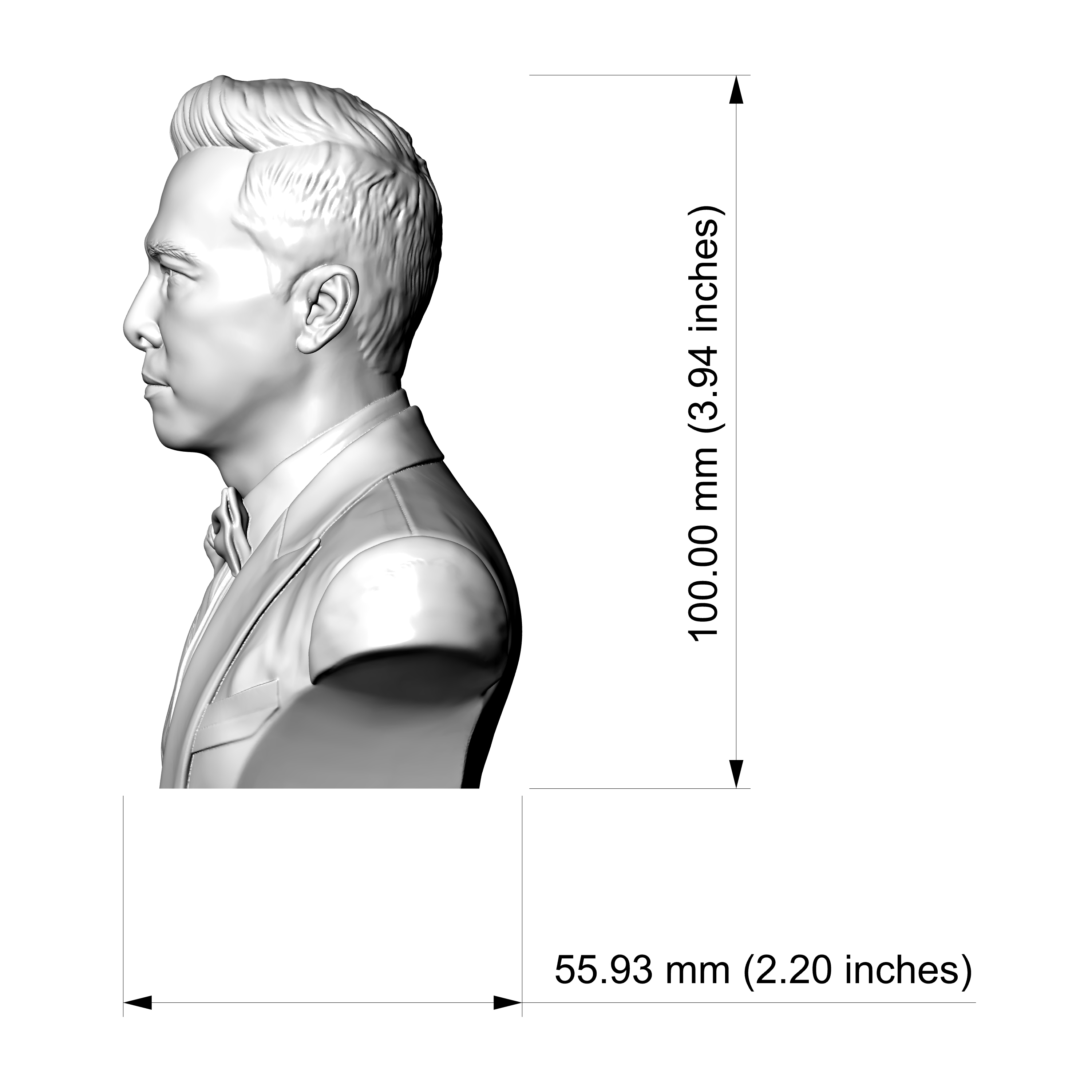 Donnie Yen Bust 3D Printable Bust 3D Model